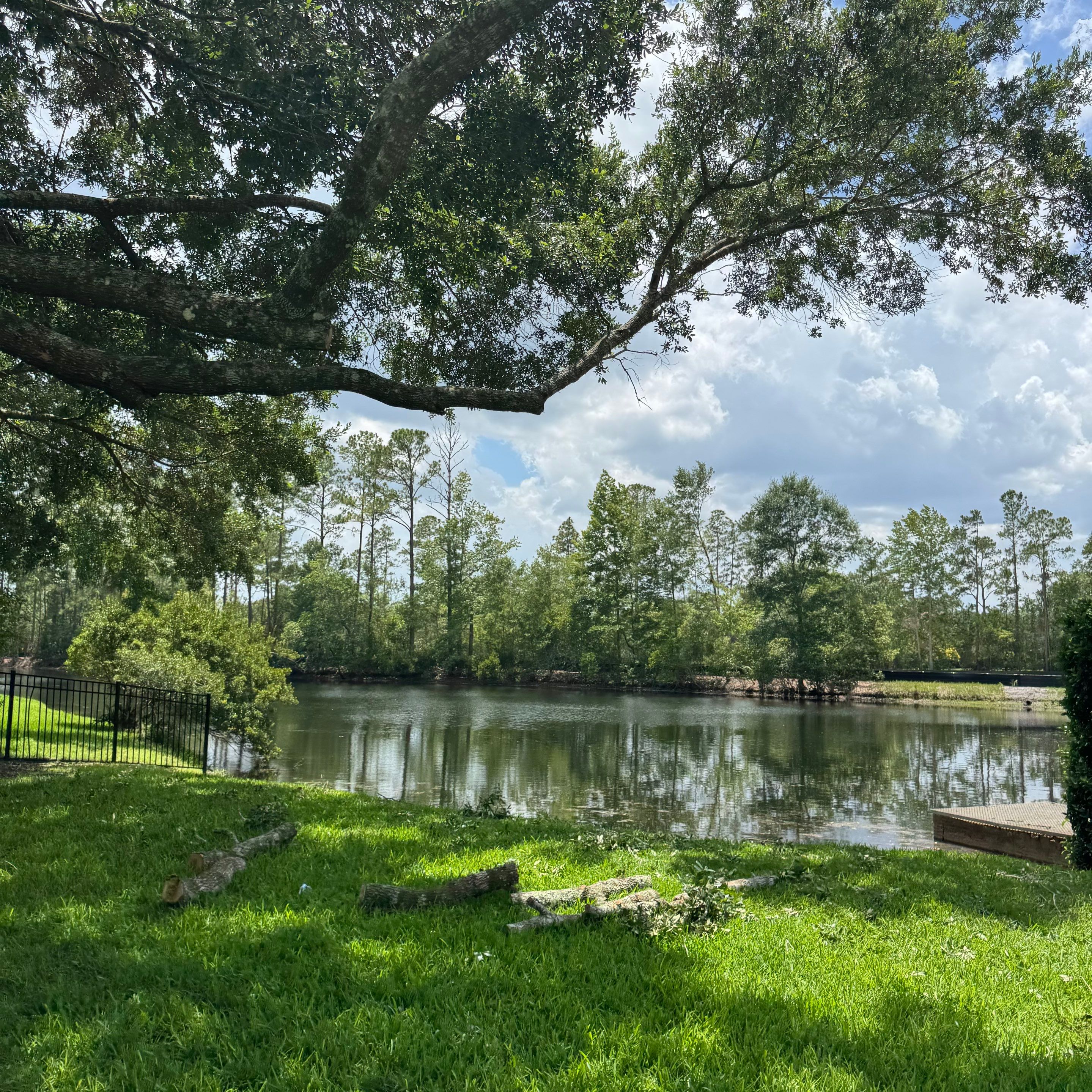Deerwood Resident | Plant Install & Tree Work by ProGreen Services