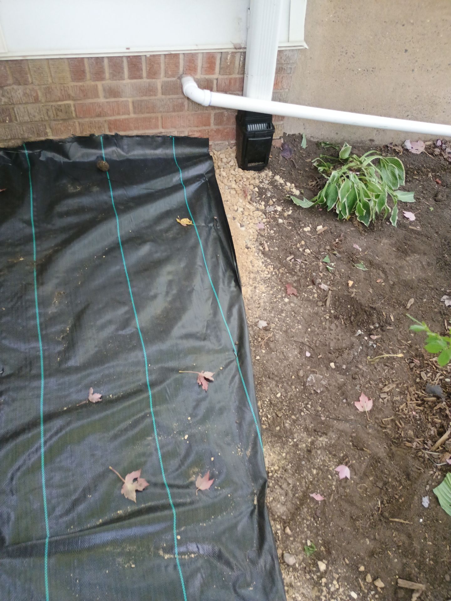 French Drain Installation for Michael by Waterproofing Northeast