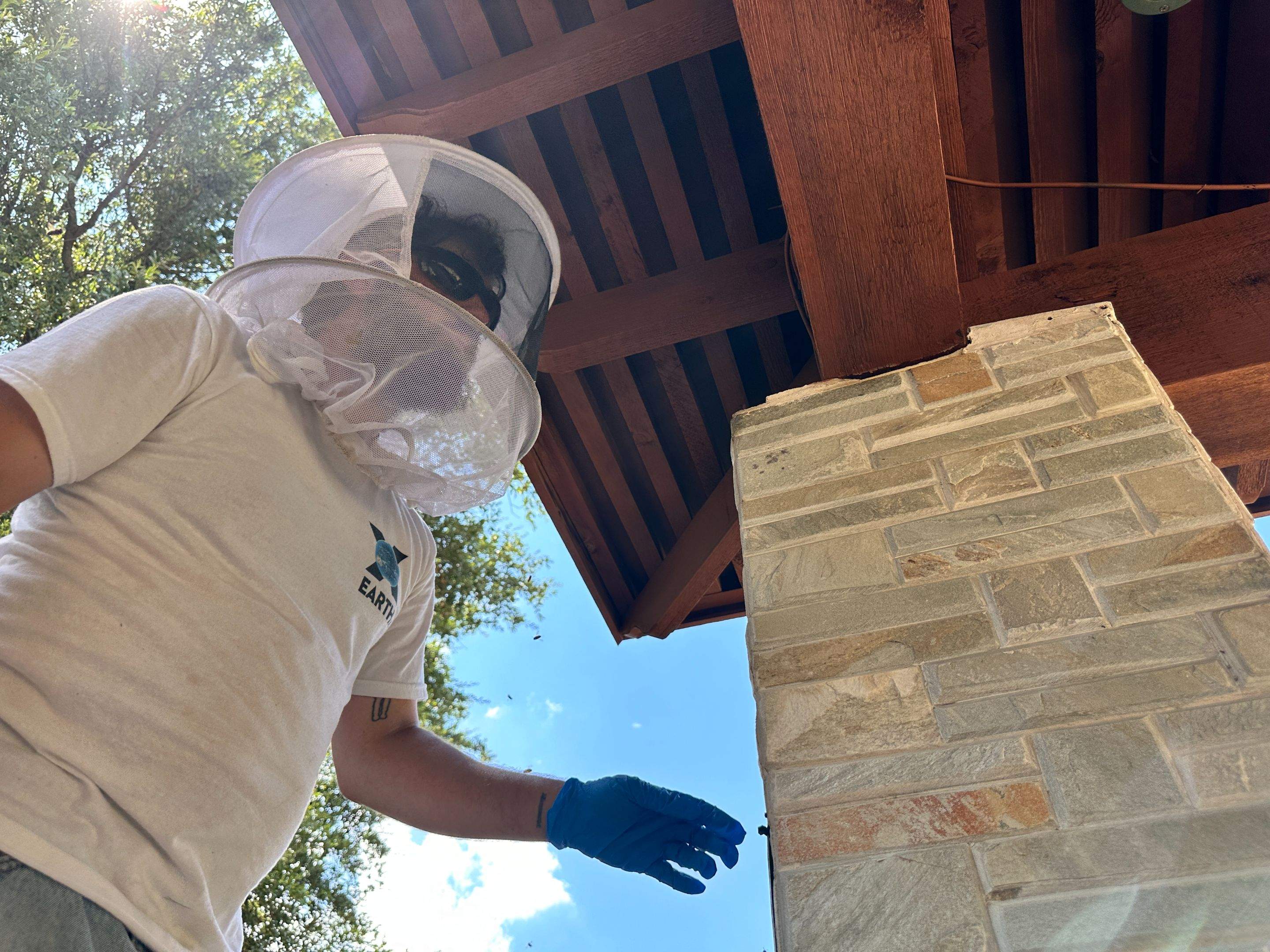 Scary Pergola by Rockwall Honey Bee Company