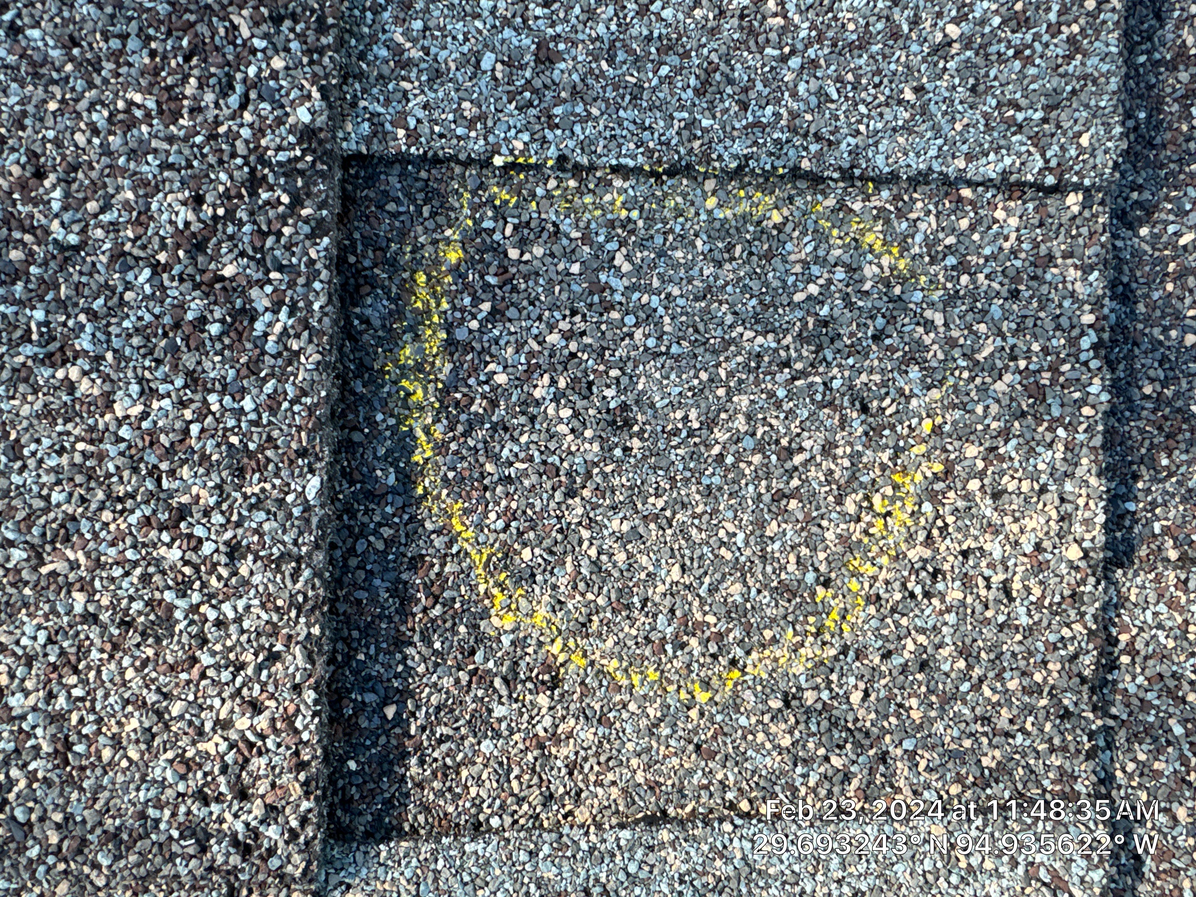 Hail Damage by Southern Belle