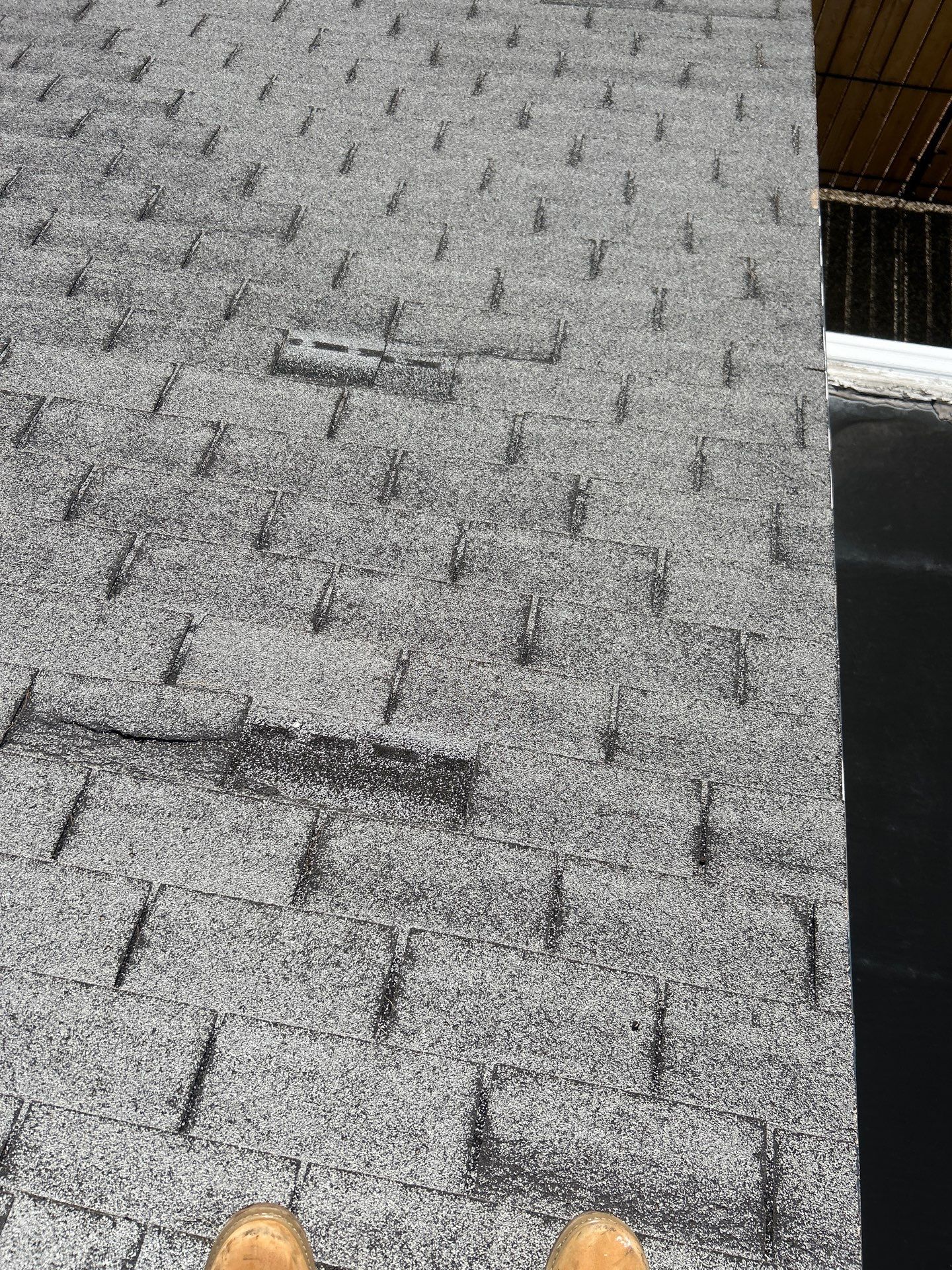 Onyx Black Shingles by Reimagine Roofing