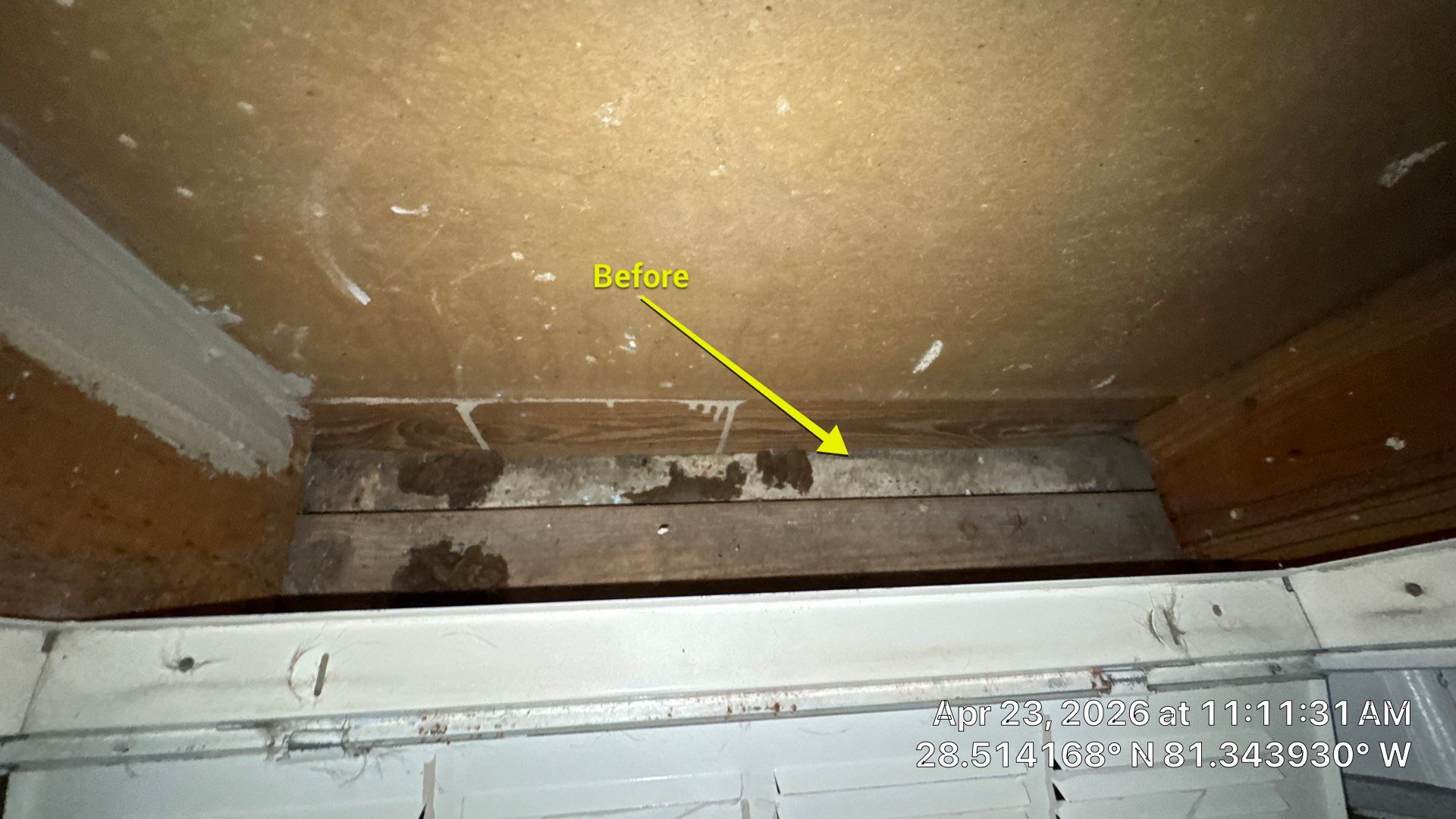 Air Duct Cleaning in Orlando by Hygienic Air, Inc