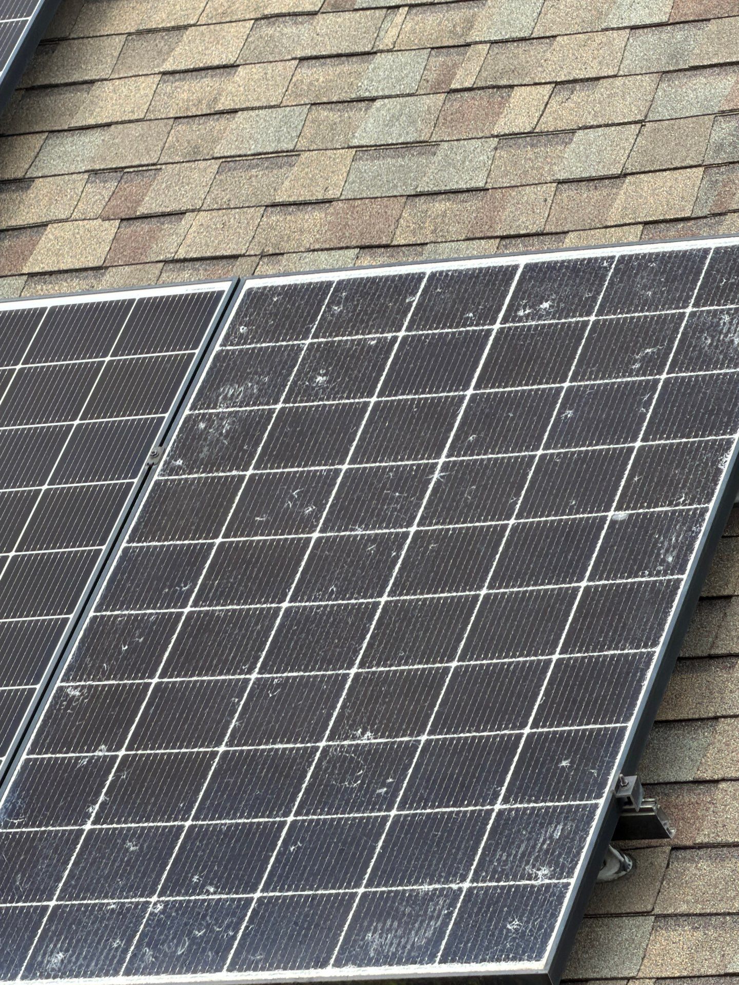 Georgina by Boss Hogg Roofing