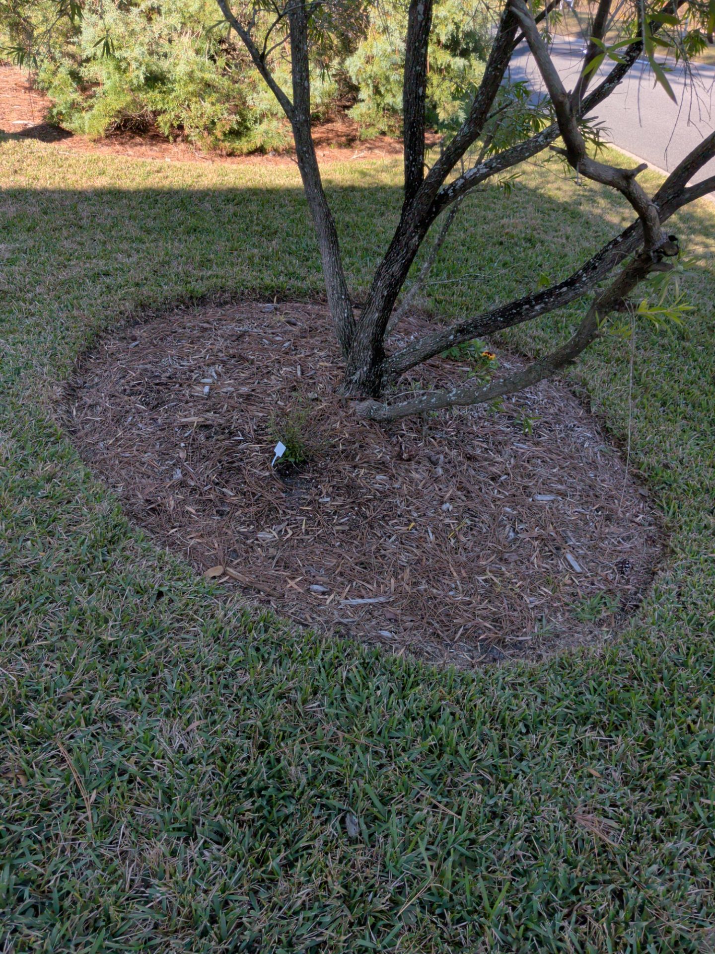 Flower Bed Cleanup & Mulch Preparation — Jacksonville Beach by Harmoni Home Services