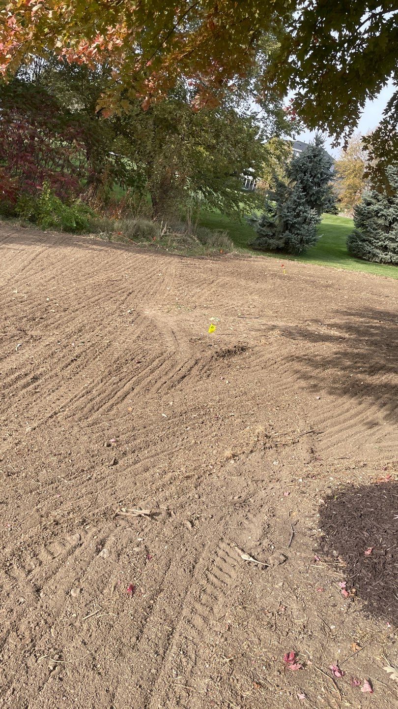 Landscape Bed Updates.  by New Horizon Landscapes