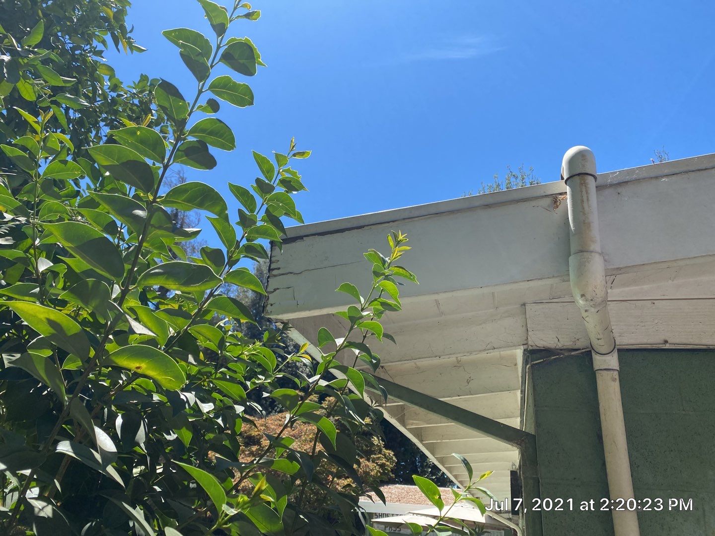 New spray insulation roof over tar and gravel with coatings by Straight Edge Roofing Inc