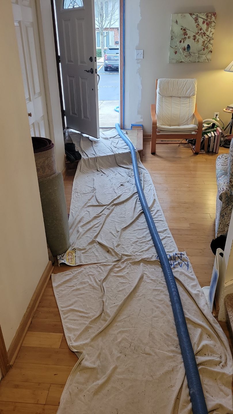 Sewage Backup by Chicagoland Water Medics