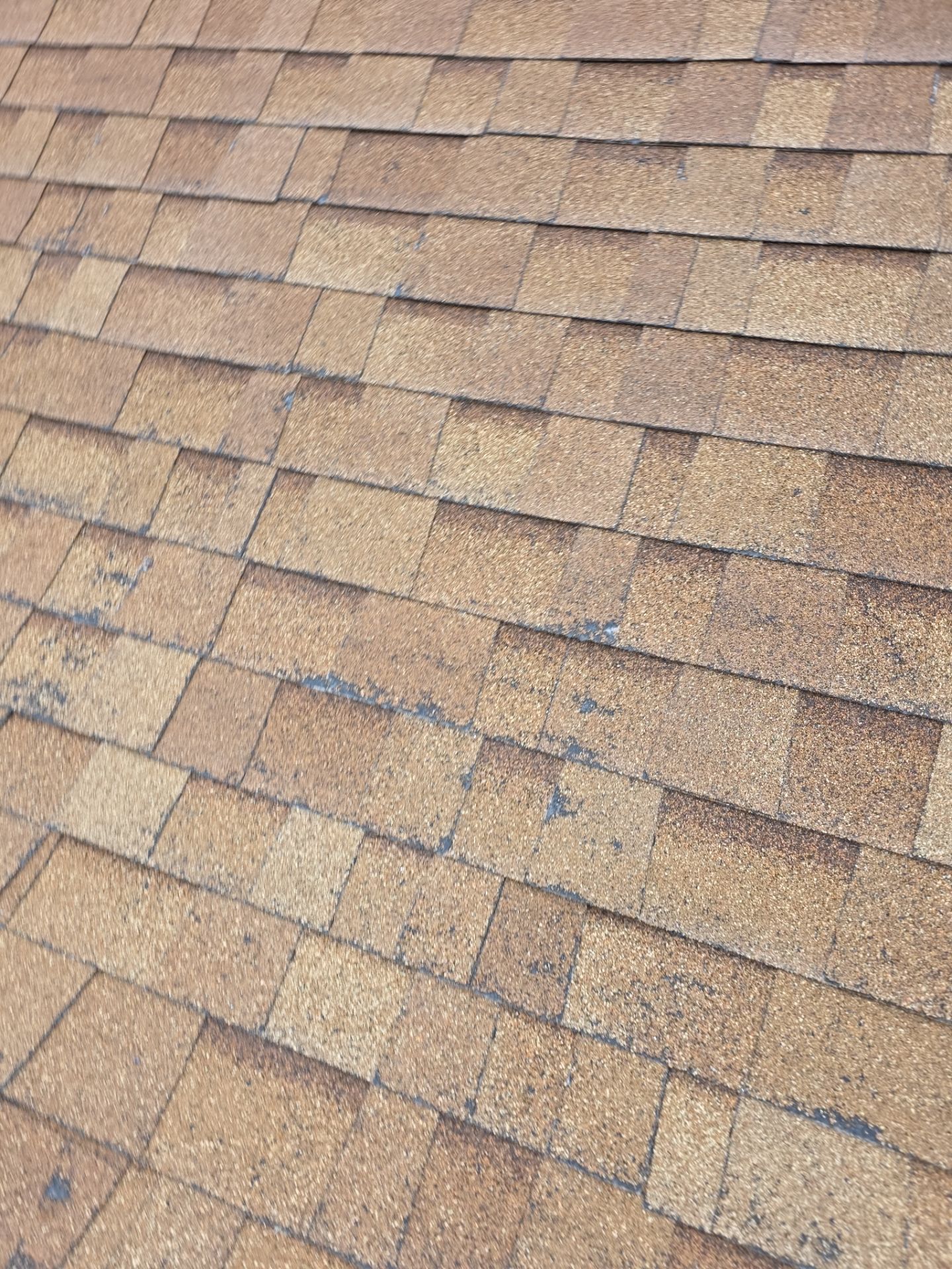 Roof Rejuvenation using Roof Maxx Treatment by Roof Maxx of Folsom