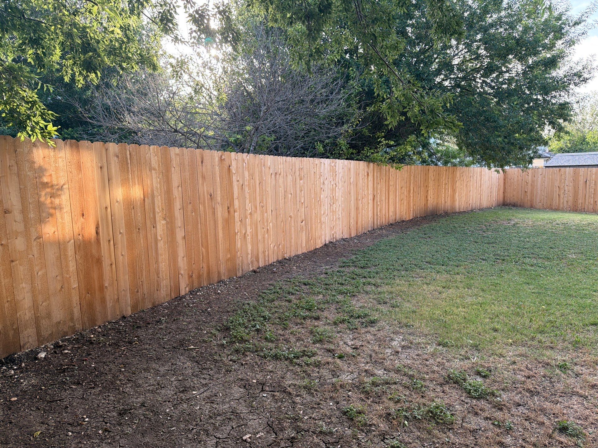 Austin Cedar Fence Stain by Rhino Home Care