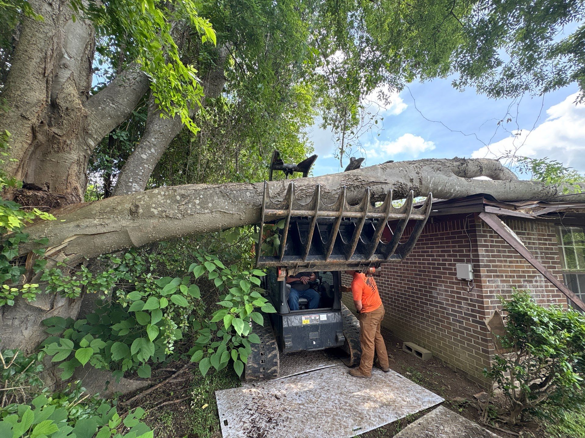 Crane-Assisted Emergency Removal by American Arbor