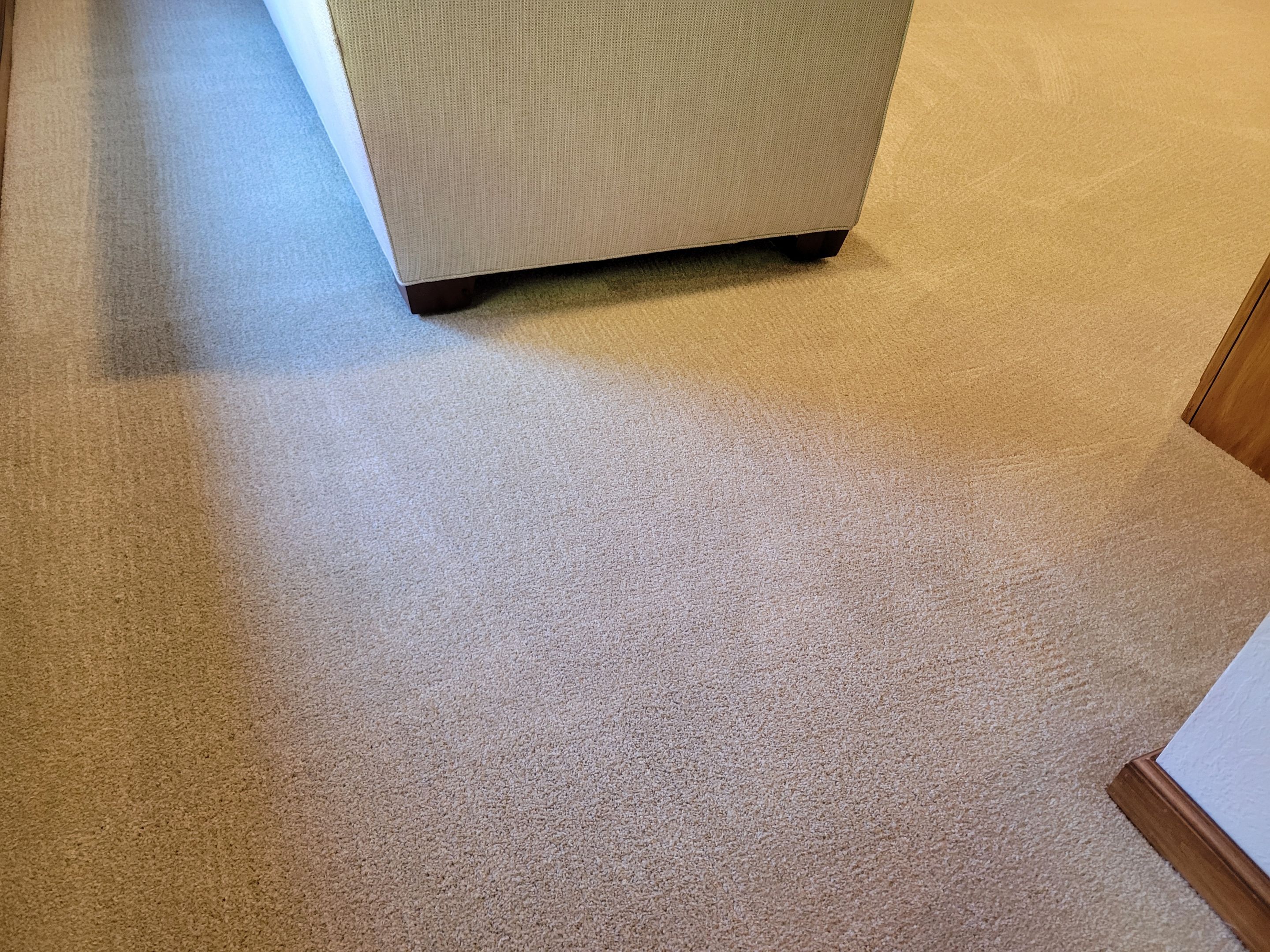 Carpet Cleaning and Upholstery Spot Clean by Ardent Carpet Restore LLC