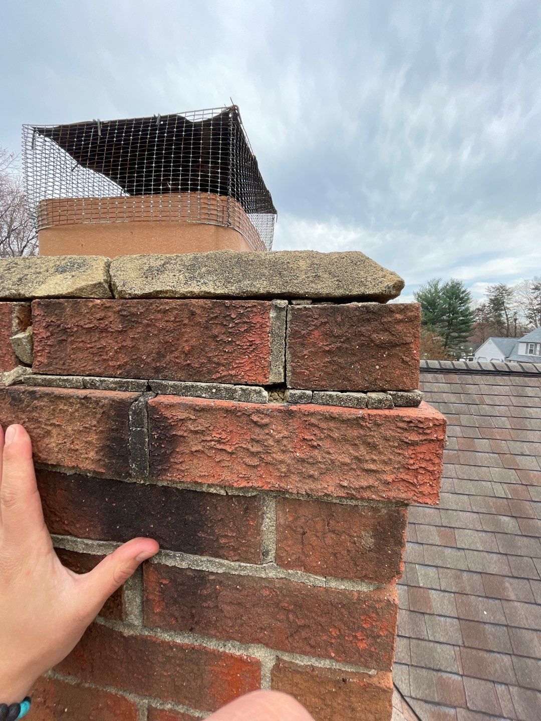 Springfield Certainteed Landmark Pro Designer Shingles by RM Banning, Inc.