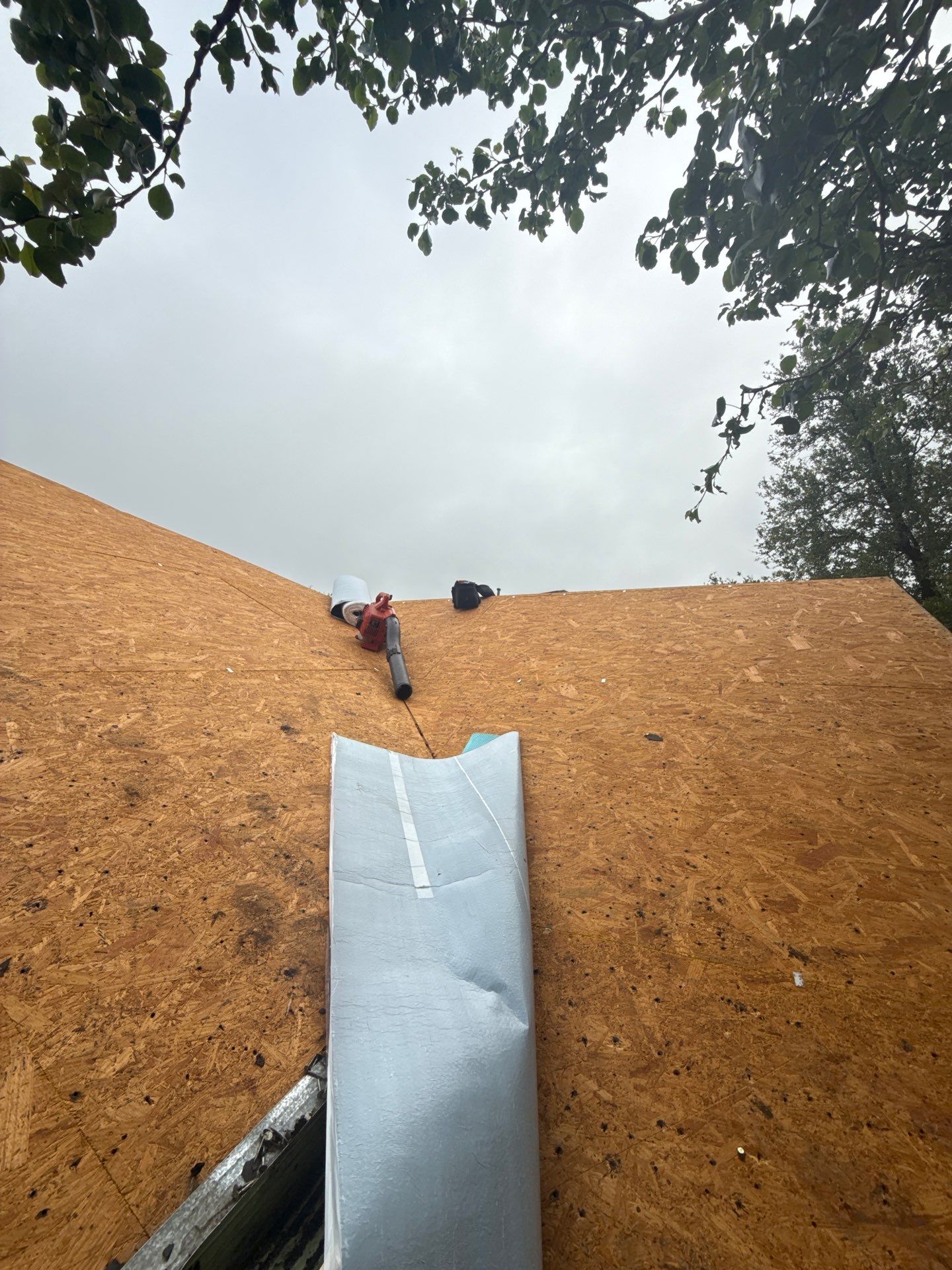 Project in Sachse by Rhino Roofing and General Contracting, LLC