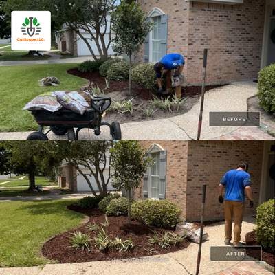 DEMO / BED PREP / CUT IN BED EDGES / MULCH INSTALL using BROWN MULCH "BARK BRITE" & ROAD ROCK