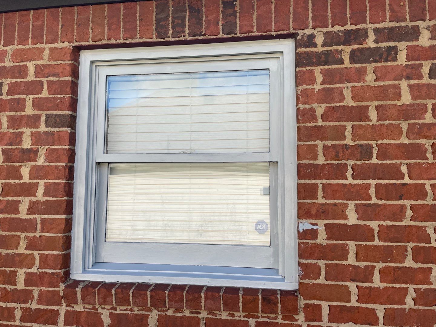 Downing Park - Paint by Pillar and Pine