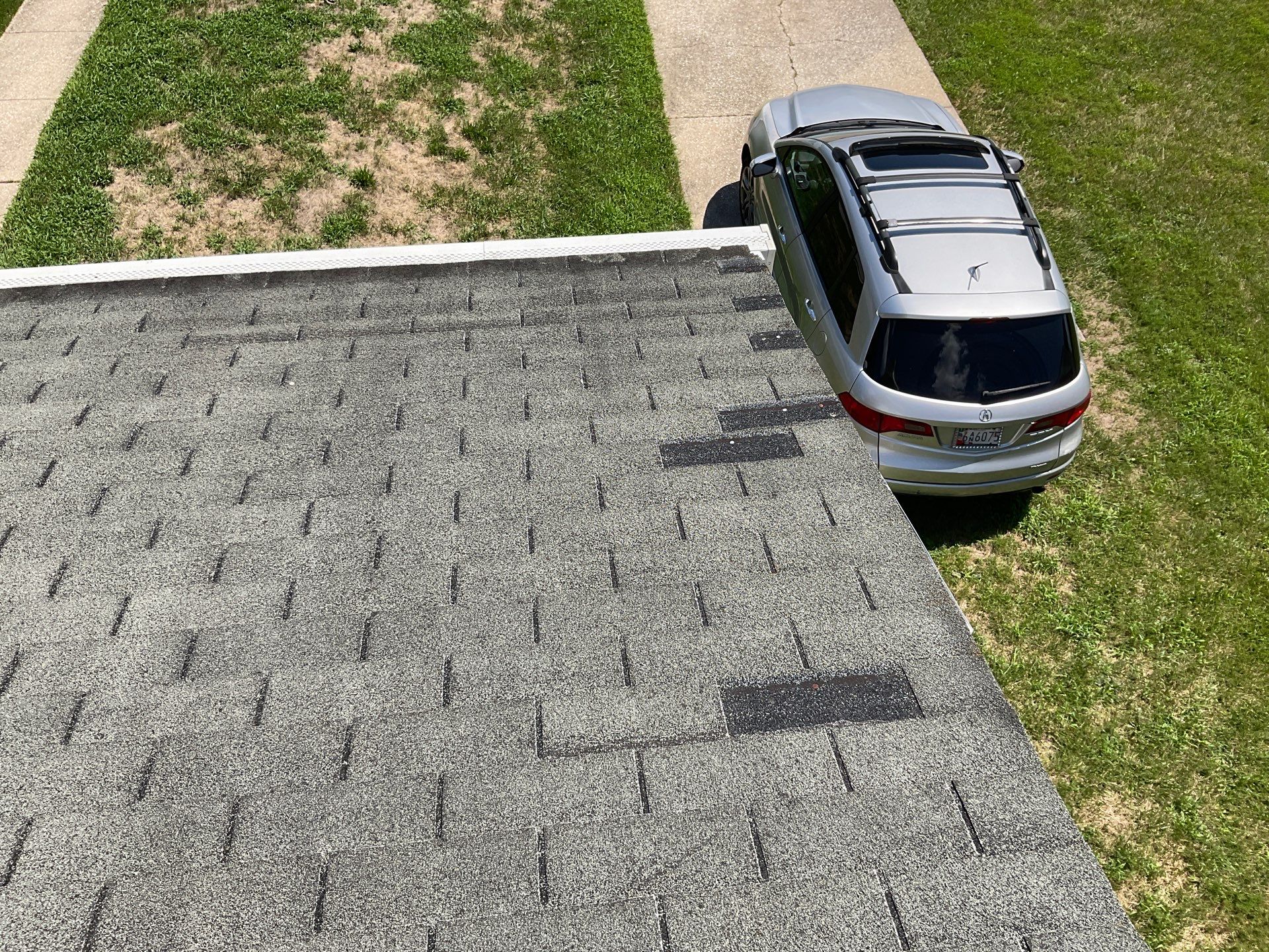 New Shingle Roof by Alpha Design Services