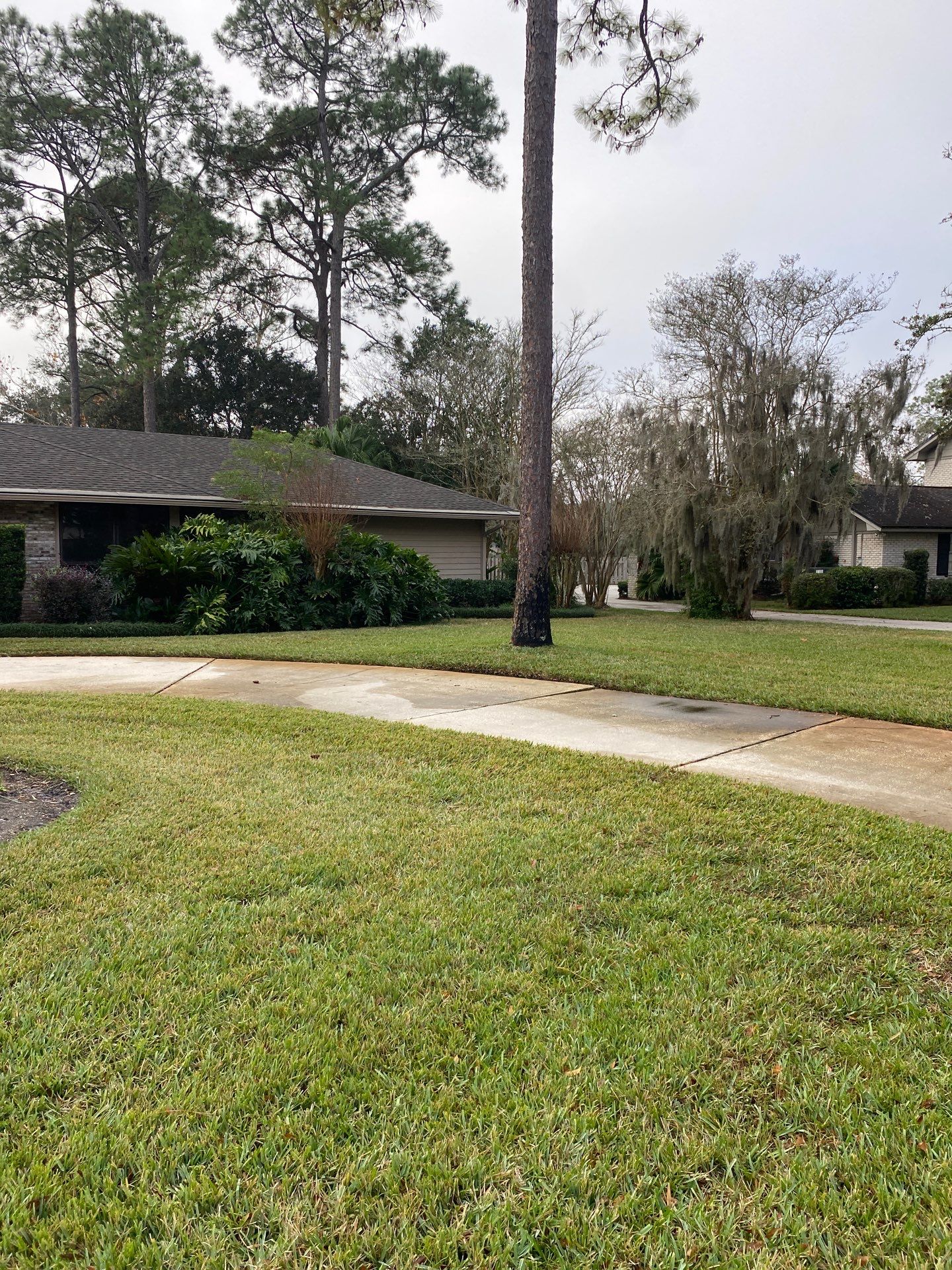 Deerwood Resident | Freshen Up Project by ProGreen Services