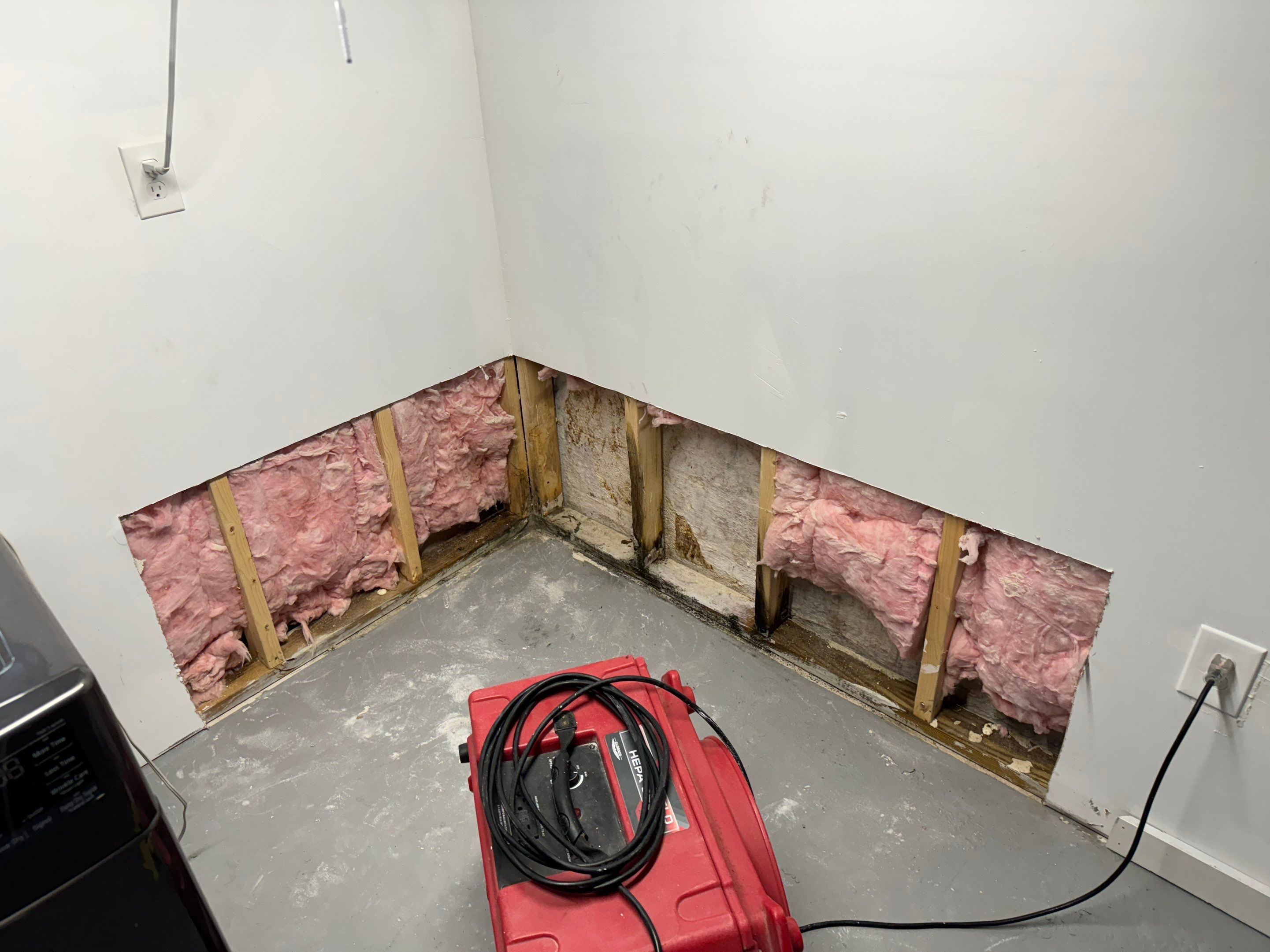 Bedroom Mold Remediation by Home Guarantee, LLC