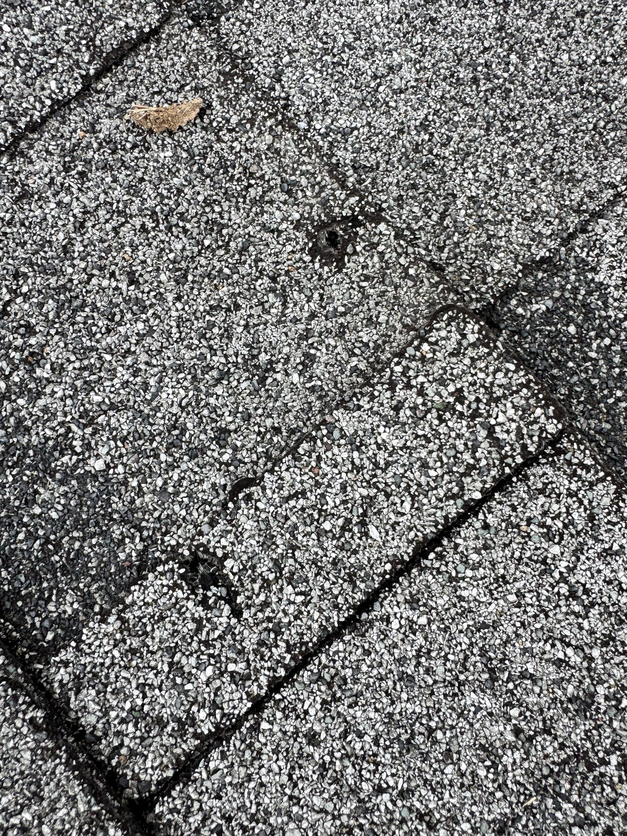 Tyee Roofing Replacement  by Tyee Construction Corp