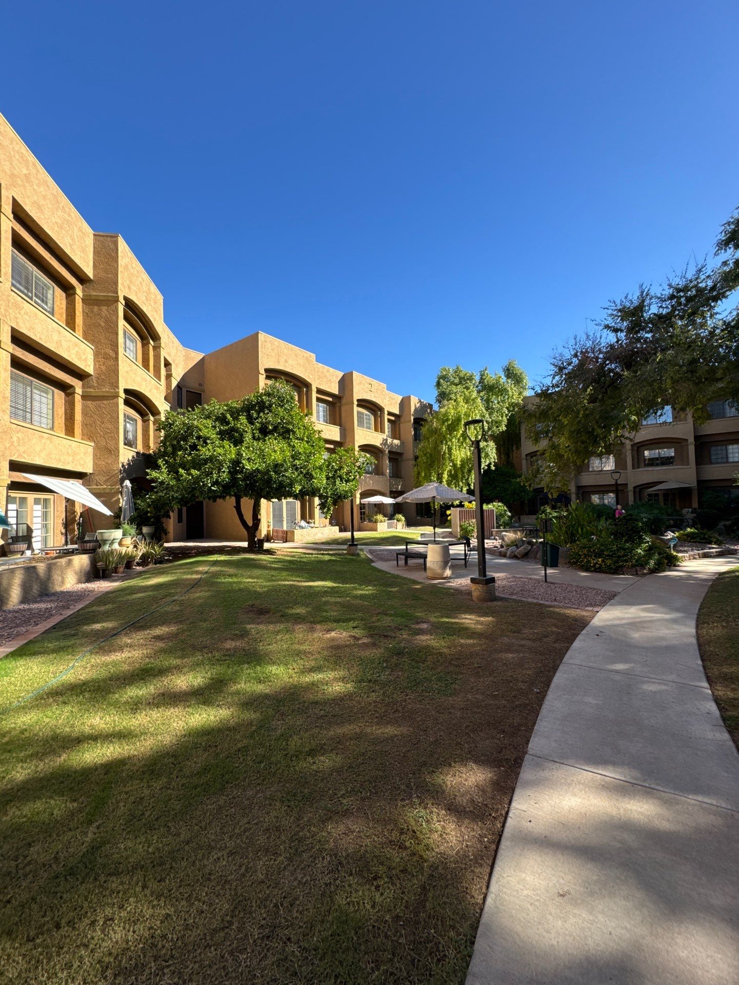 Project in Glendale by Crush Development Services LLC