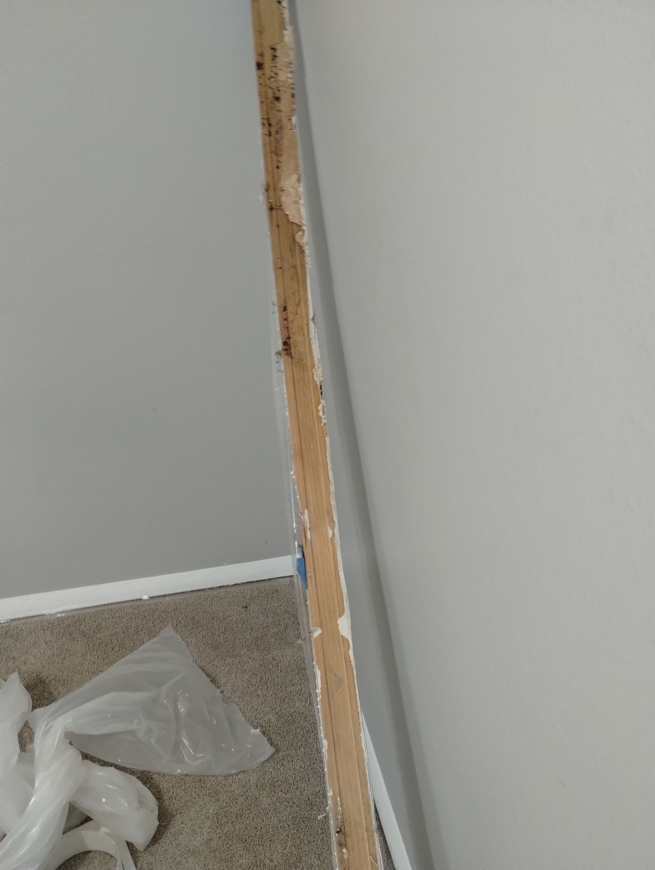 Mold Damage Repairs by Accountable Home Services