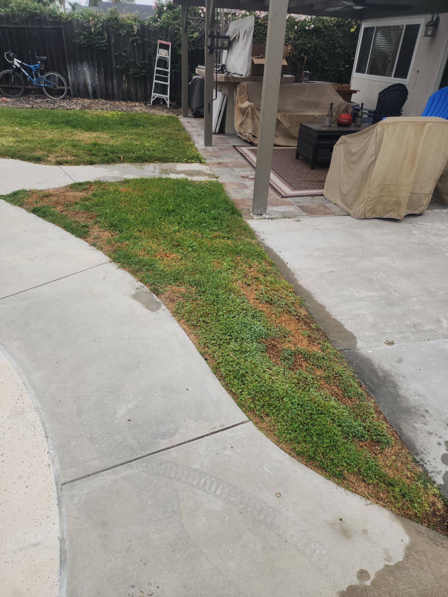 Irrigation System Repair in Mission Viejo by Yard Techs