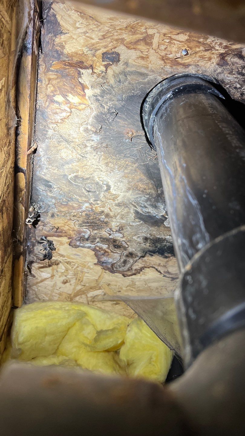 Mold Remediation by Accountable Home Services