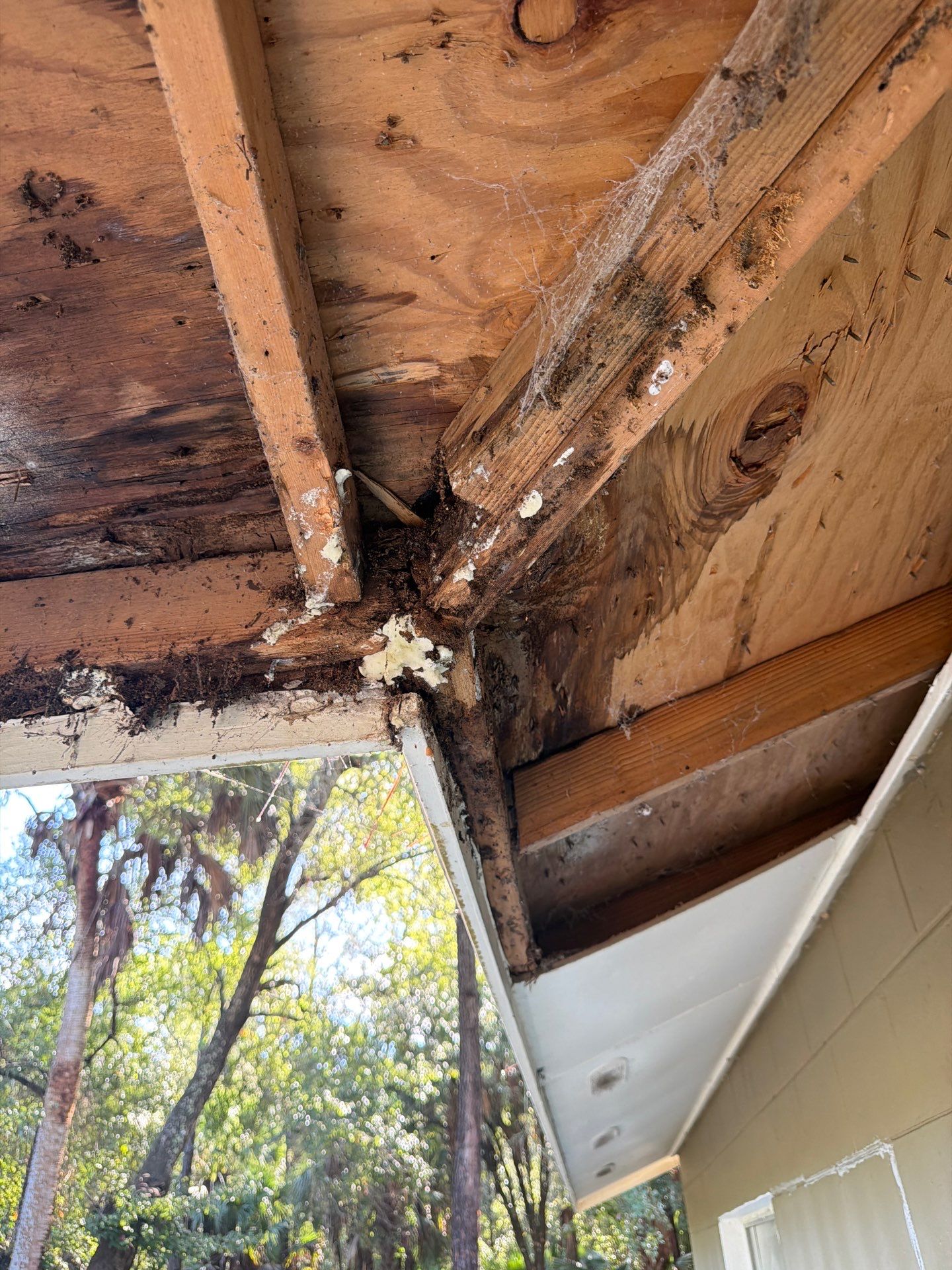 Sorrento Residential Fascia Repair and Soffit Wood Rot Restoration by Fortified Roofing Solutions Corp.