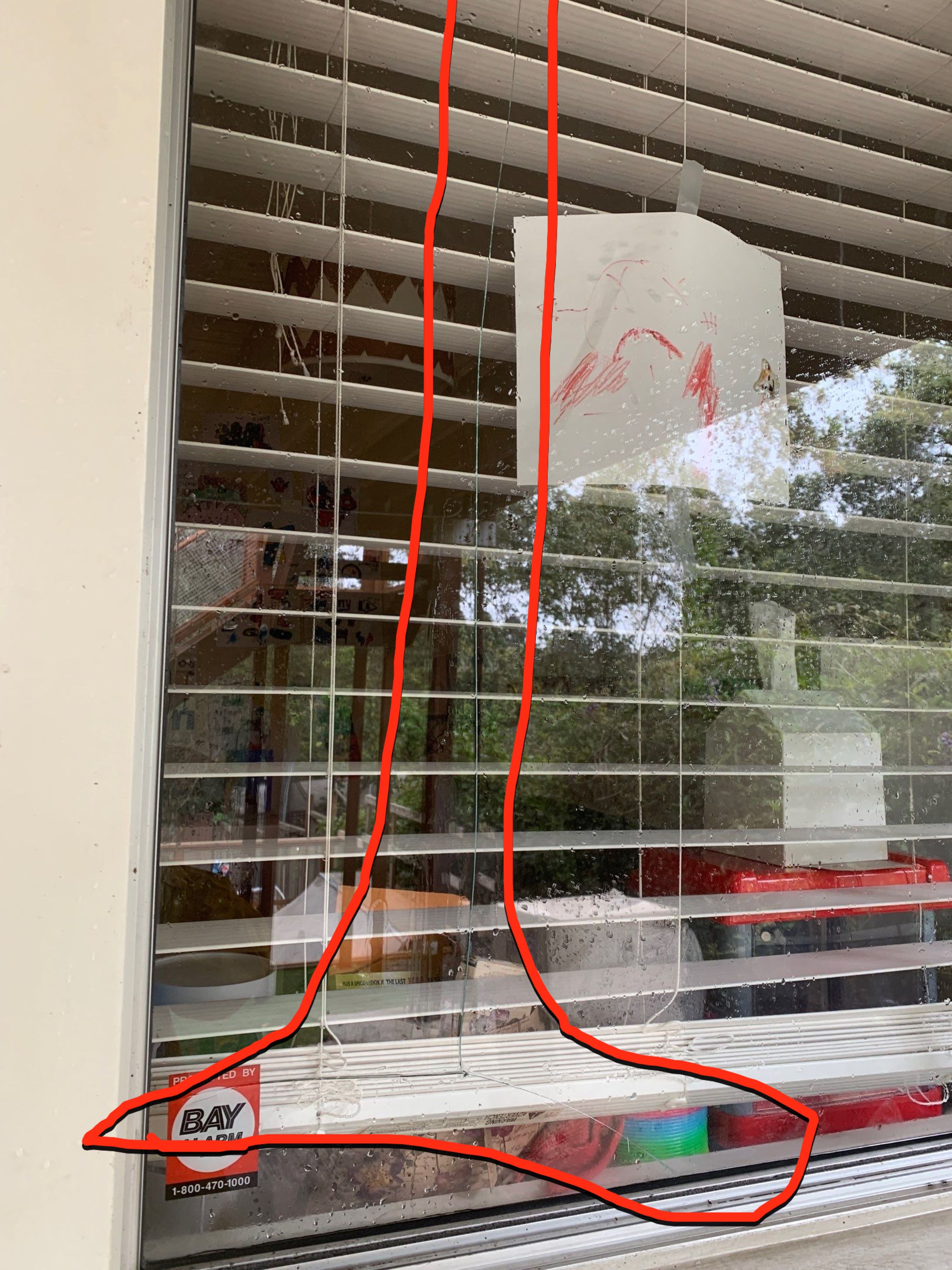 Jordan DiGiorgio by SpotFree Window Cleaning