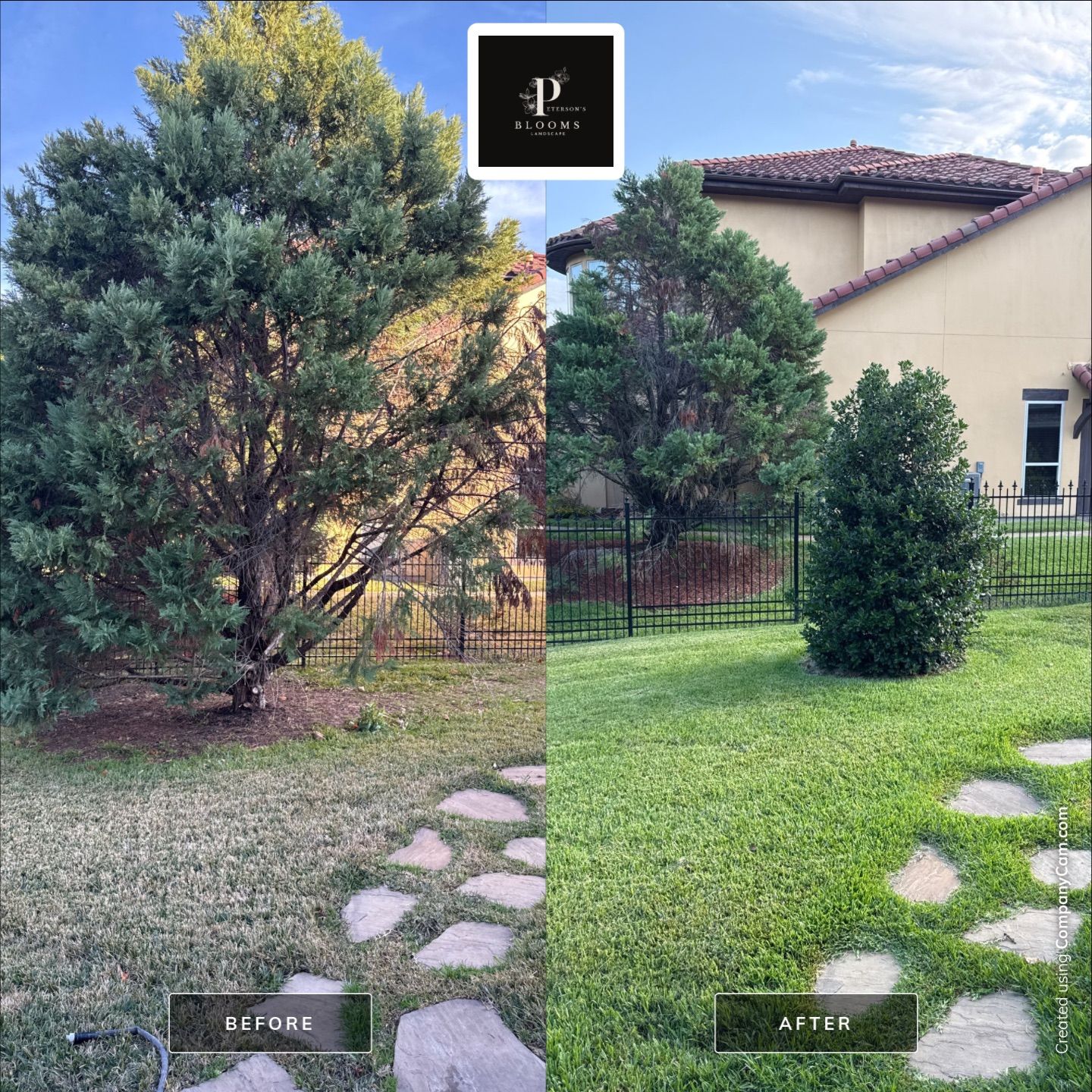 Before and Afters by Peterson’s
