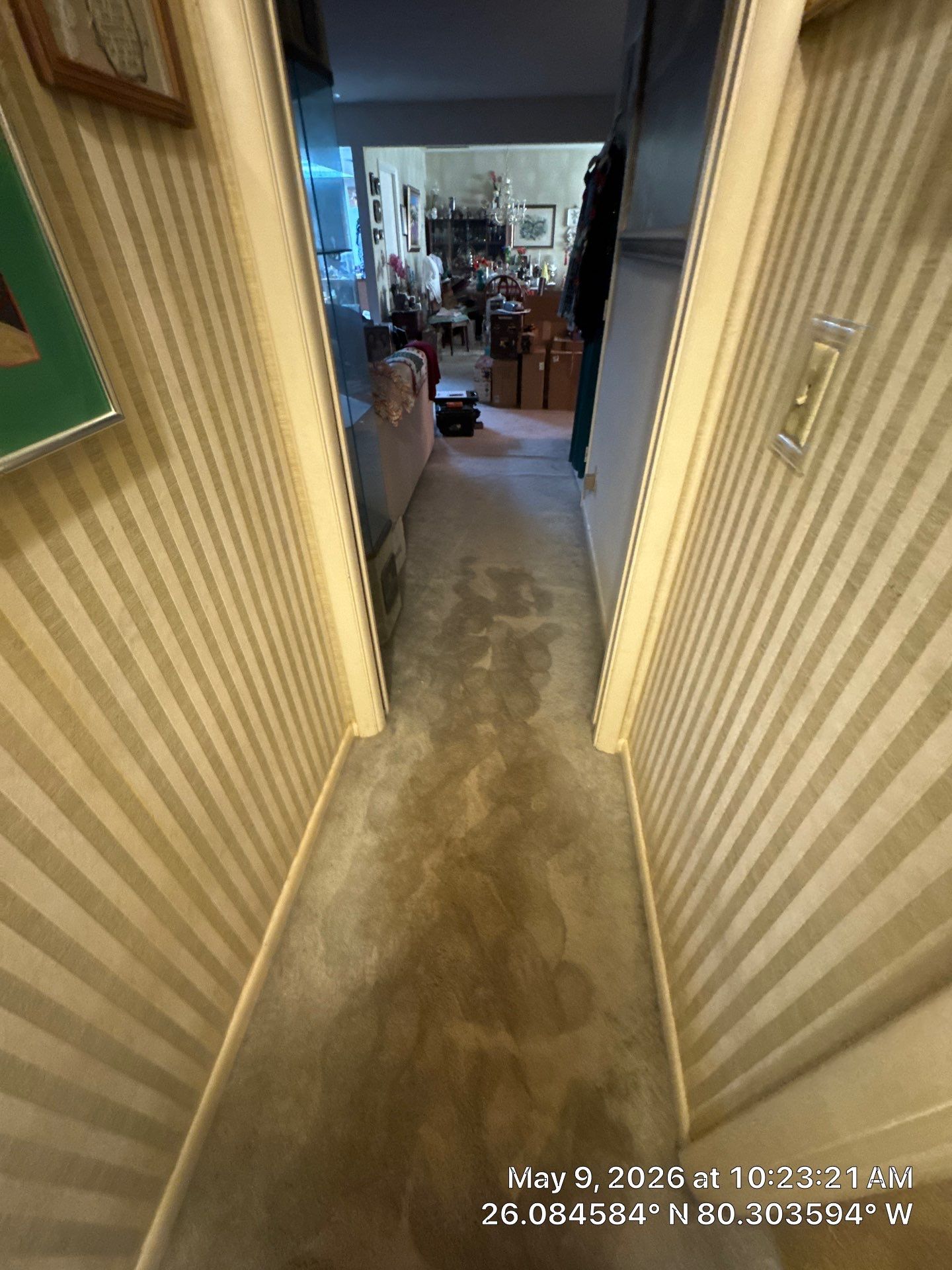 Water Damage Restoration and Structural Drying Services in Davie by SuperClean 
