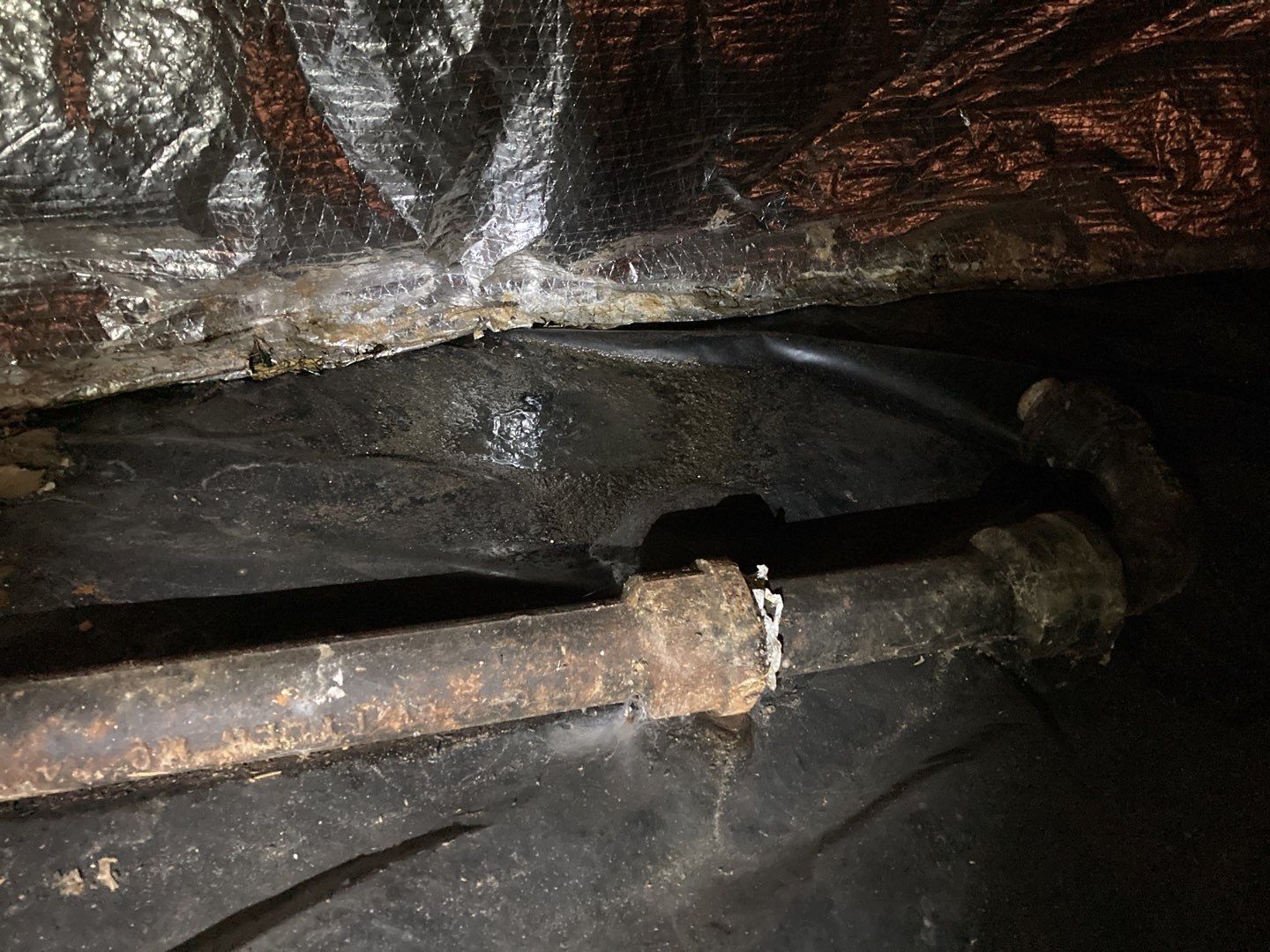 Crawl Space Cleanup  by Accountable Home Services