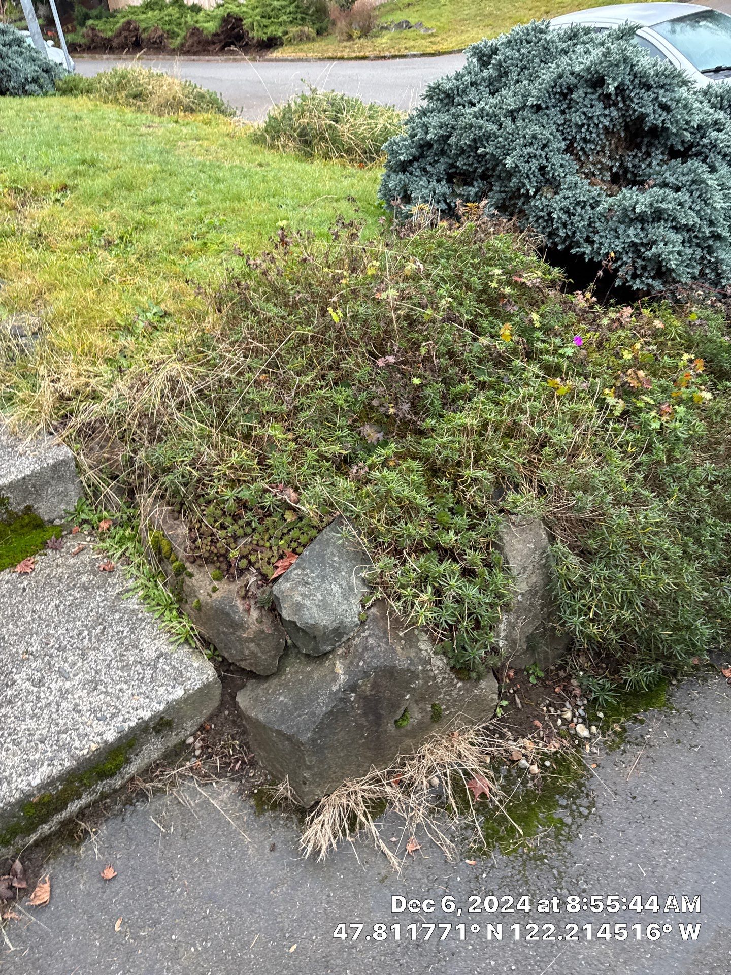 Concrete Front Stair Repair | Bothell  by Jireh Asphalt & Concrete Inc 