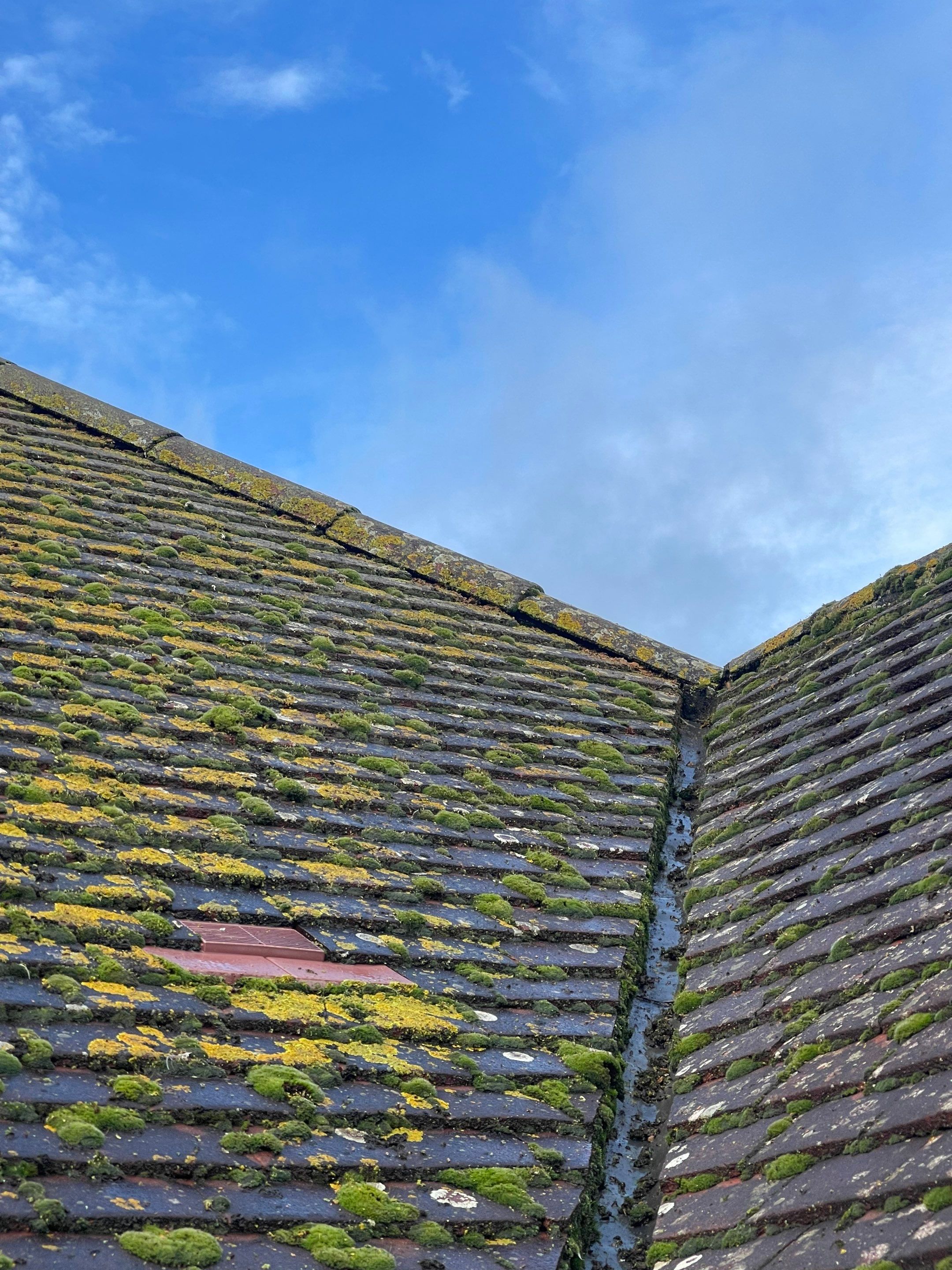 Roof Clean - Biocide Treatment using Mosmatic FSC and Biocide by Ges Exterior Cleaning ltd