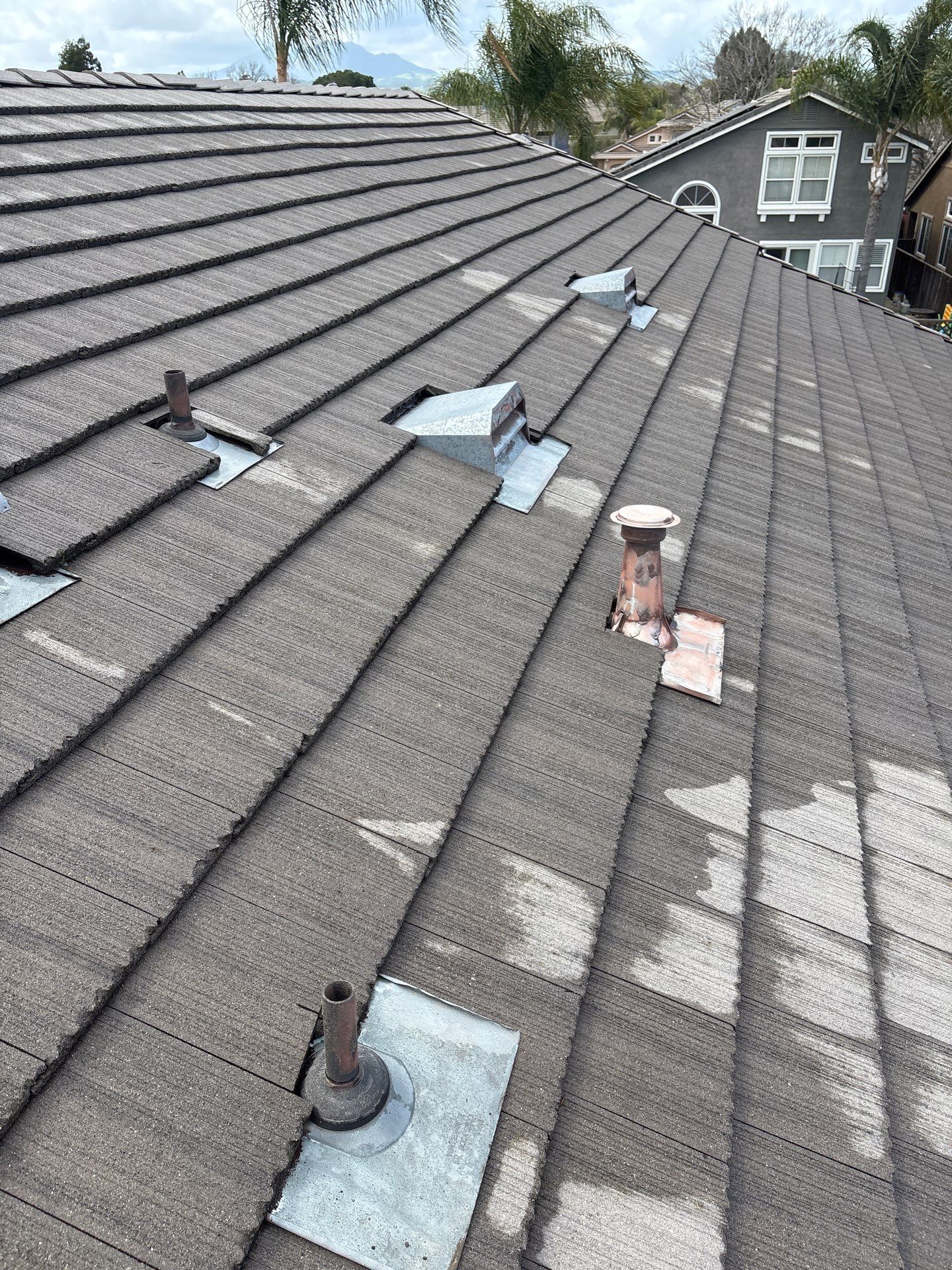 Moss Removal by Top Elevation