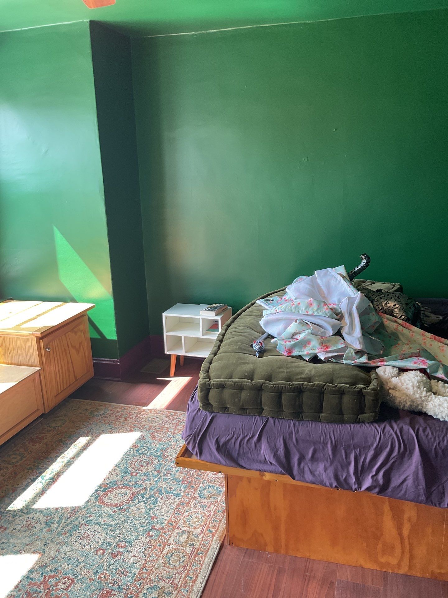 Bold Bedroom Refresh in West Philadelphia by Groovy Hues
