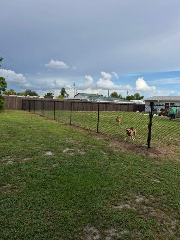 Black Chain Link Fence Installation for Residential Backyard in Port Charlotte by True Fence LLC
