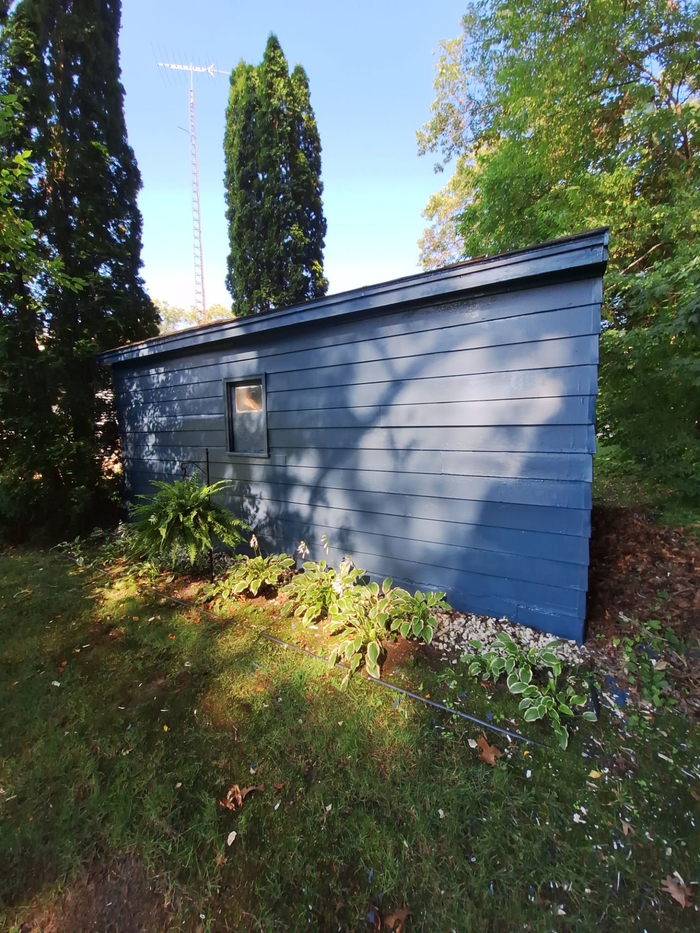 Deck and Shed Re-paint by Gordon Painting