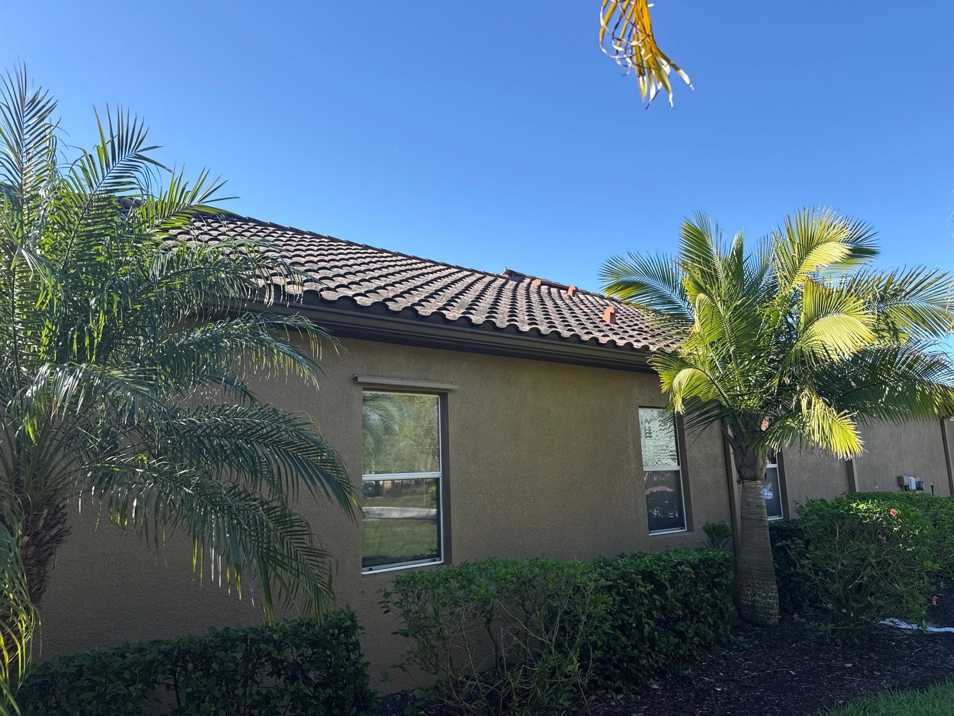 This project focused on a full gutter clean-out to restore proper water flow and prevent overflow issues.  Our scope of work included: 	•	Removing heavy leaf and pollen buildup from the gutter system 	•	Clearing out clogged sections along the rear gutters near the pool cage, where debris tends to accumulate more heavily 	•	Inspecting and cleaning the front gutter guards, which had several blocked areas restricting water flow 	•	Ensuring all downspouts and channels were flowing properly after service  Even with gutter guards installed, debris like pollen, shingle grit, and fine organic matter can still build up over time—especially in Florida’s environment. Regular maintenance helps prevent water damage, overflow, and staining on exterior surfaces.  Another thorough job completed by Sunshine AquaWash® – keeping homes protected from top to bottom. by Sunshine AquaWash