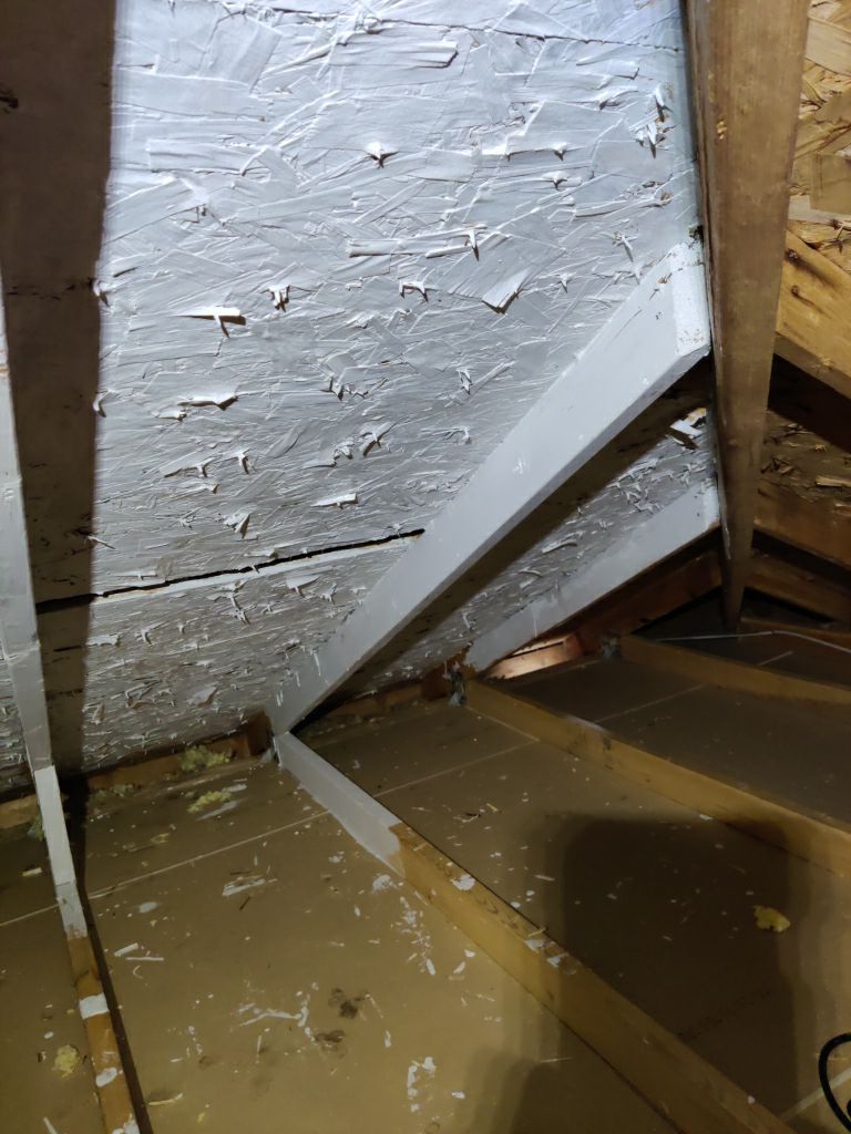 Mold Remediation Cleanup in Attic by Accountable Home Services