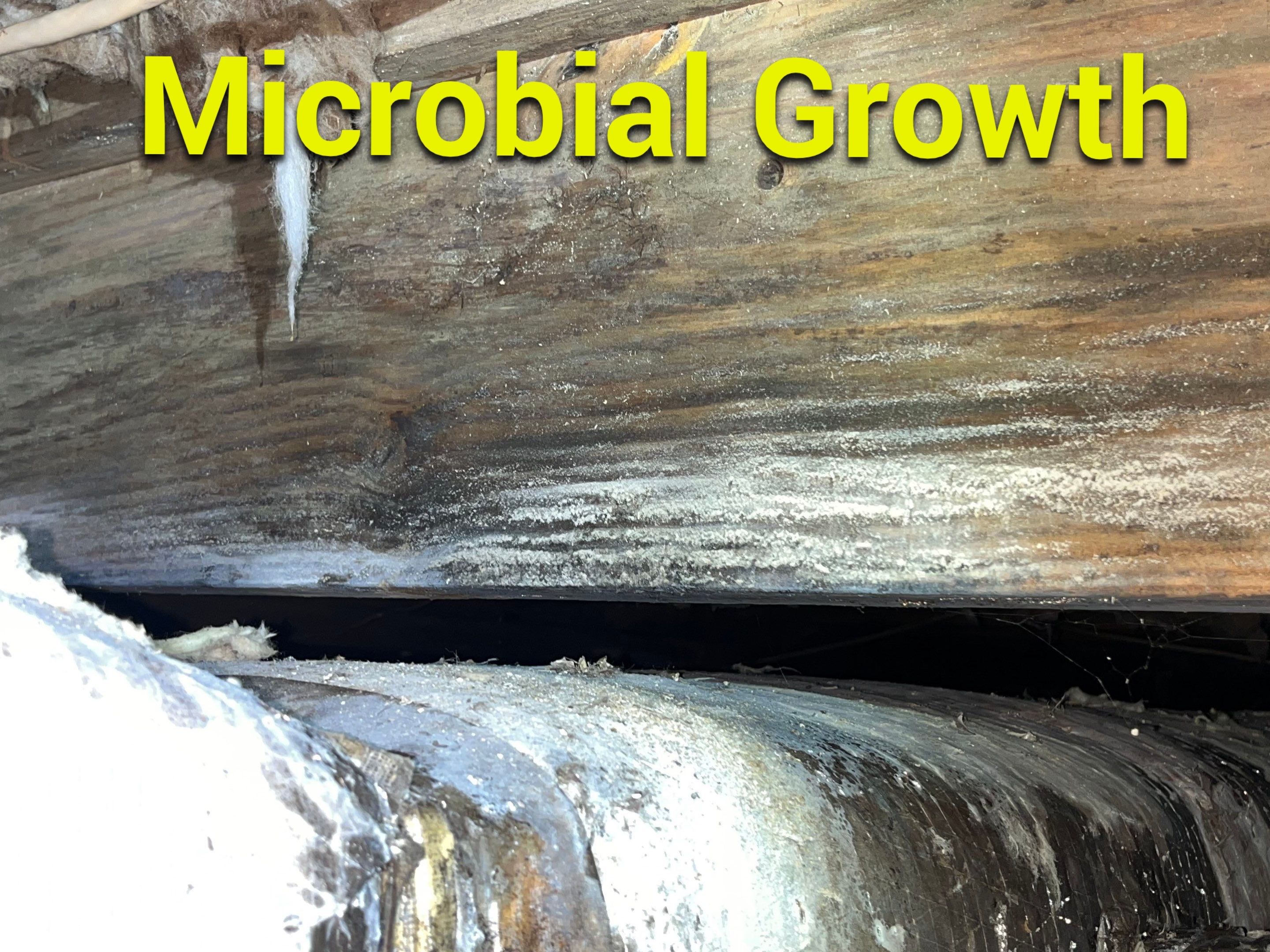 Impact Choice Encapsulation using Tri-Plex Insulation by Impact Crawlspace