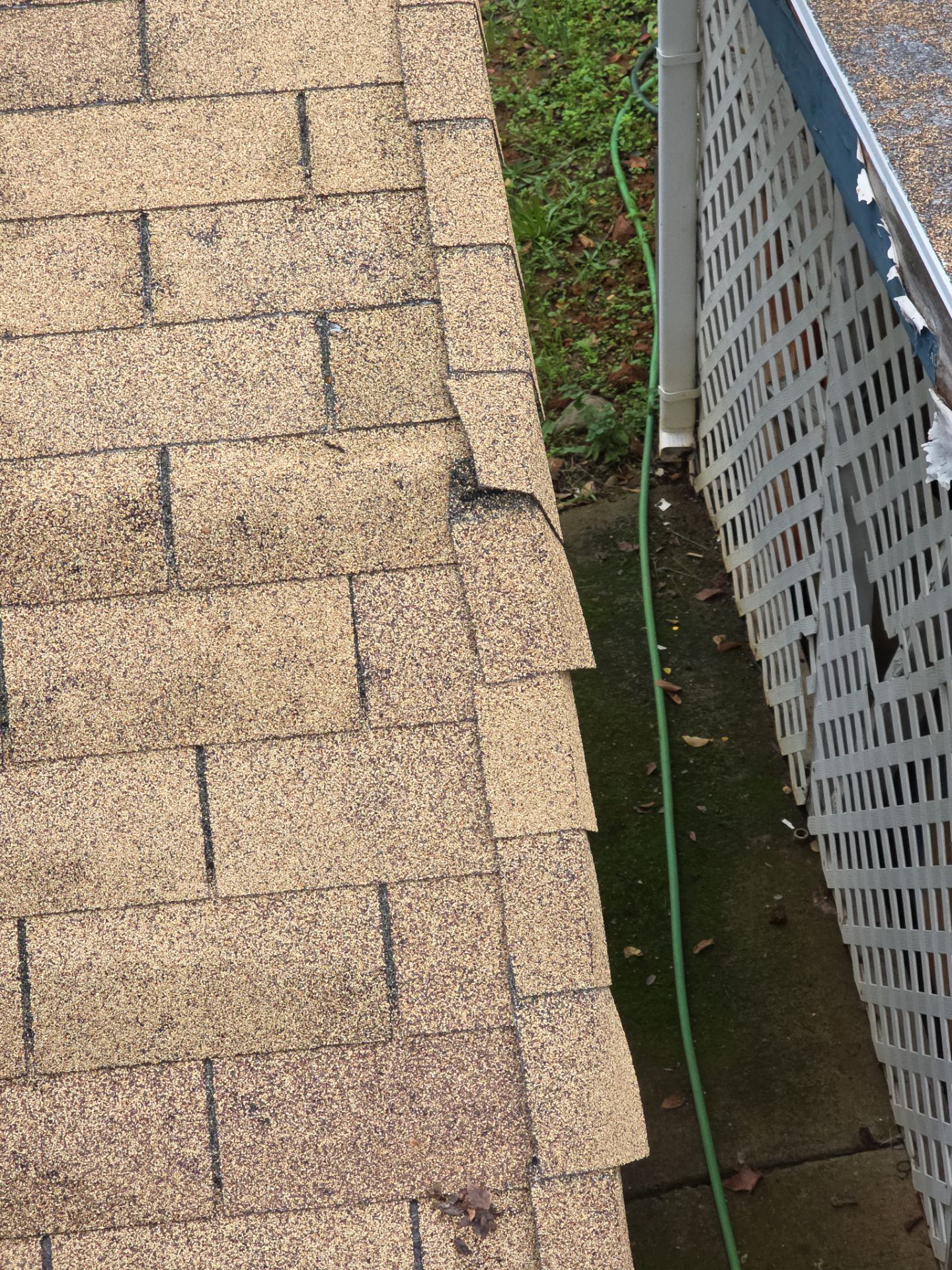 Roof Rejuvenation using Roof Maxx Treatment by Roof Maxx of Folsom