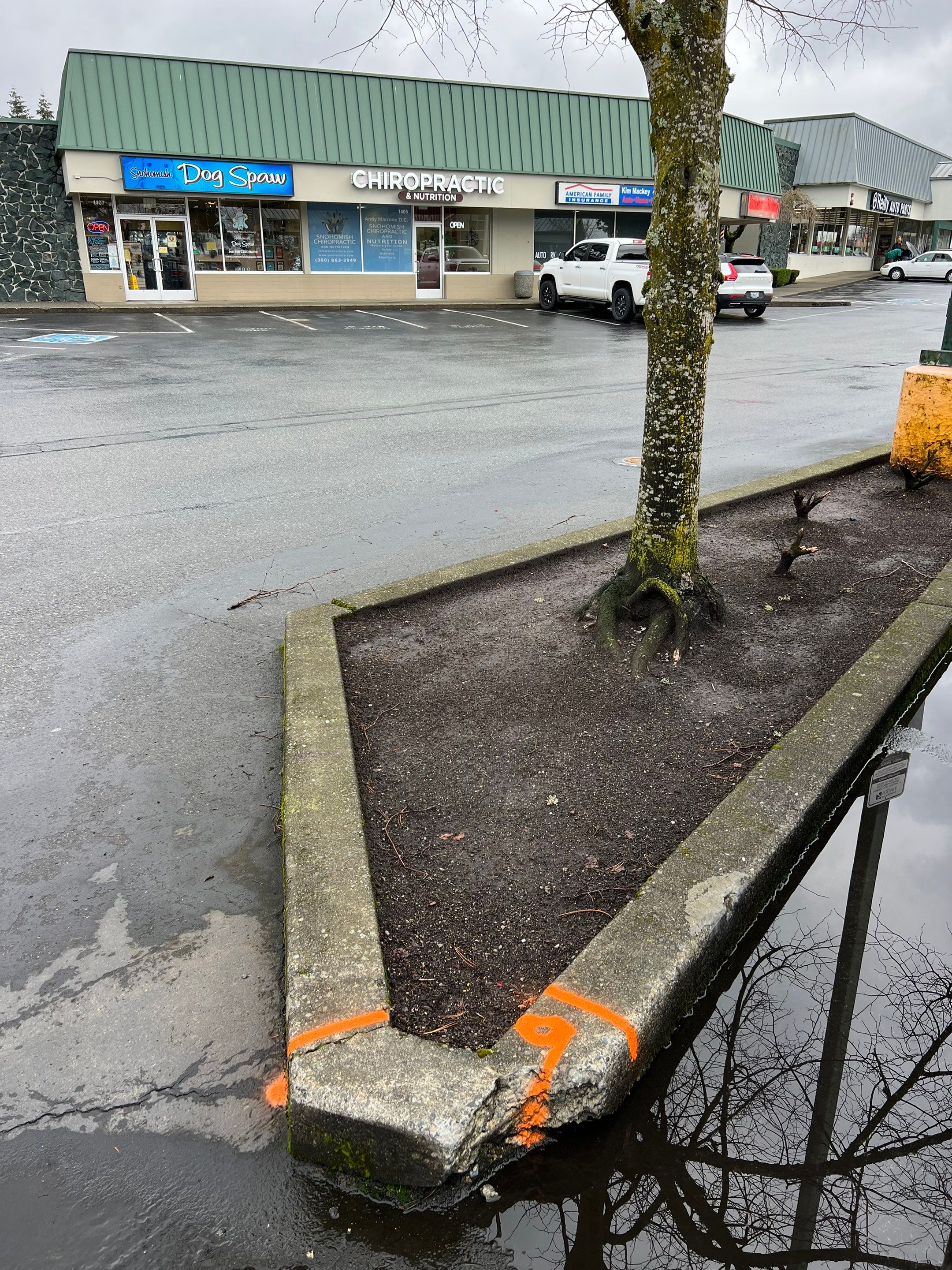 Amanda | Concrete Curb by Jireh Asphalt & Concrete Inc 