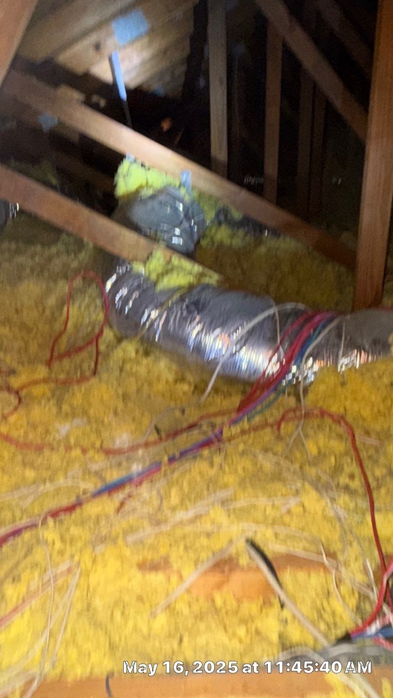 Mold Assessment using IR Camera, Moisture Meter, Air Cassette samples and Tape lifts by Building performance Solutions LLC