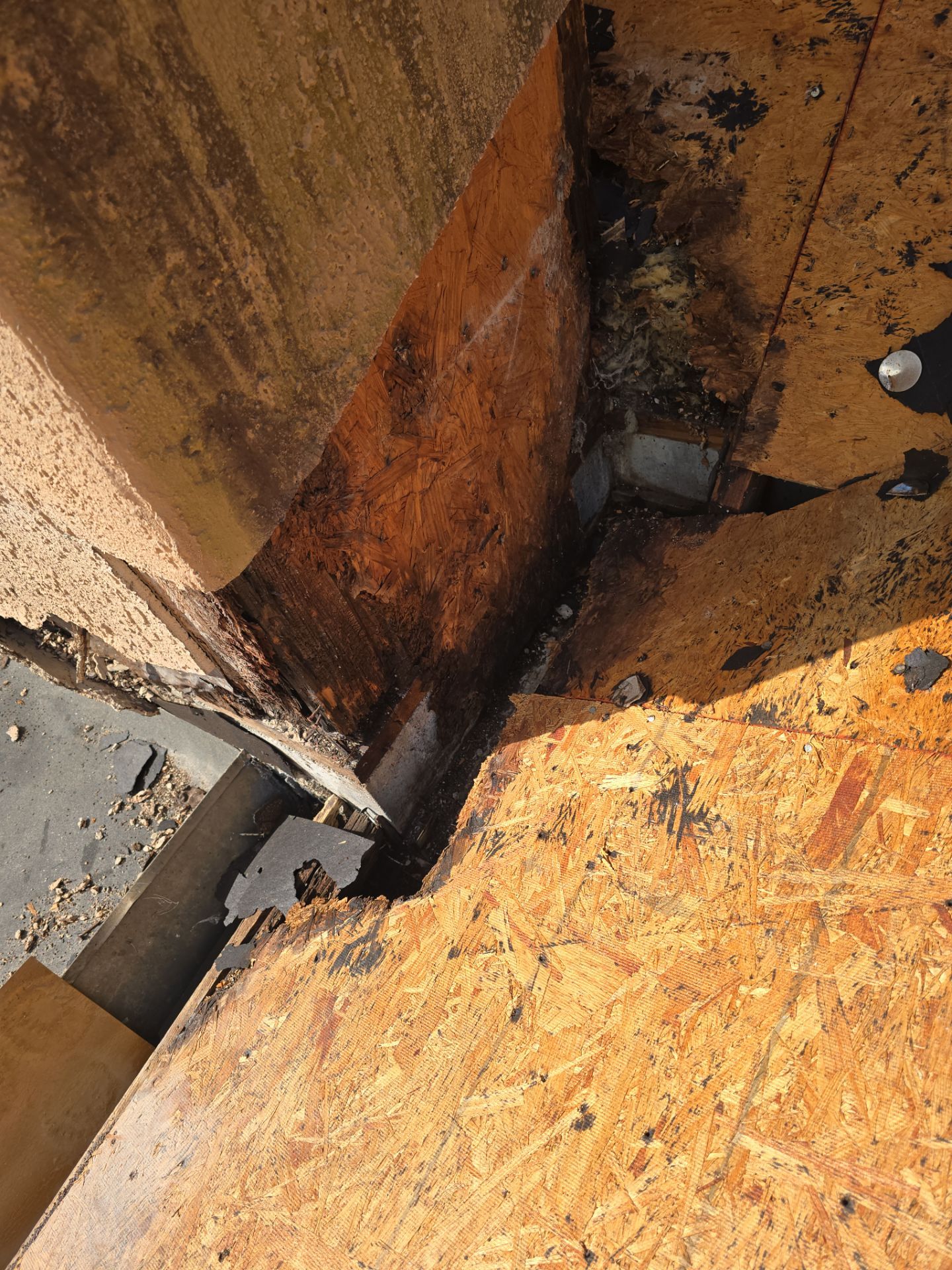 Roof Replacement in Valrico, FL by Shingle Masters Roofing