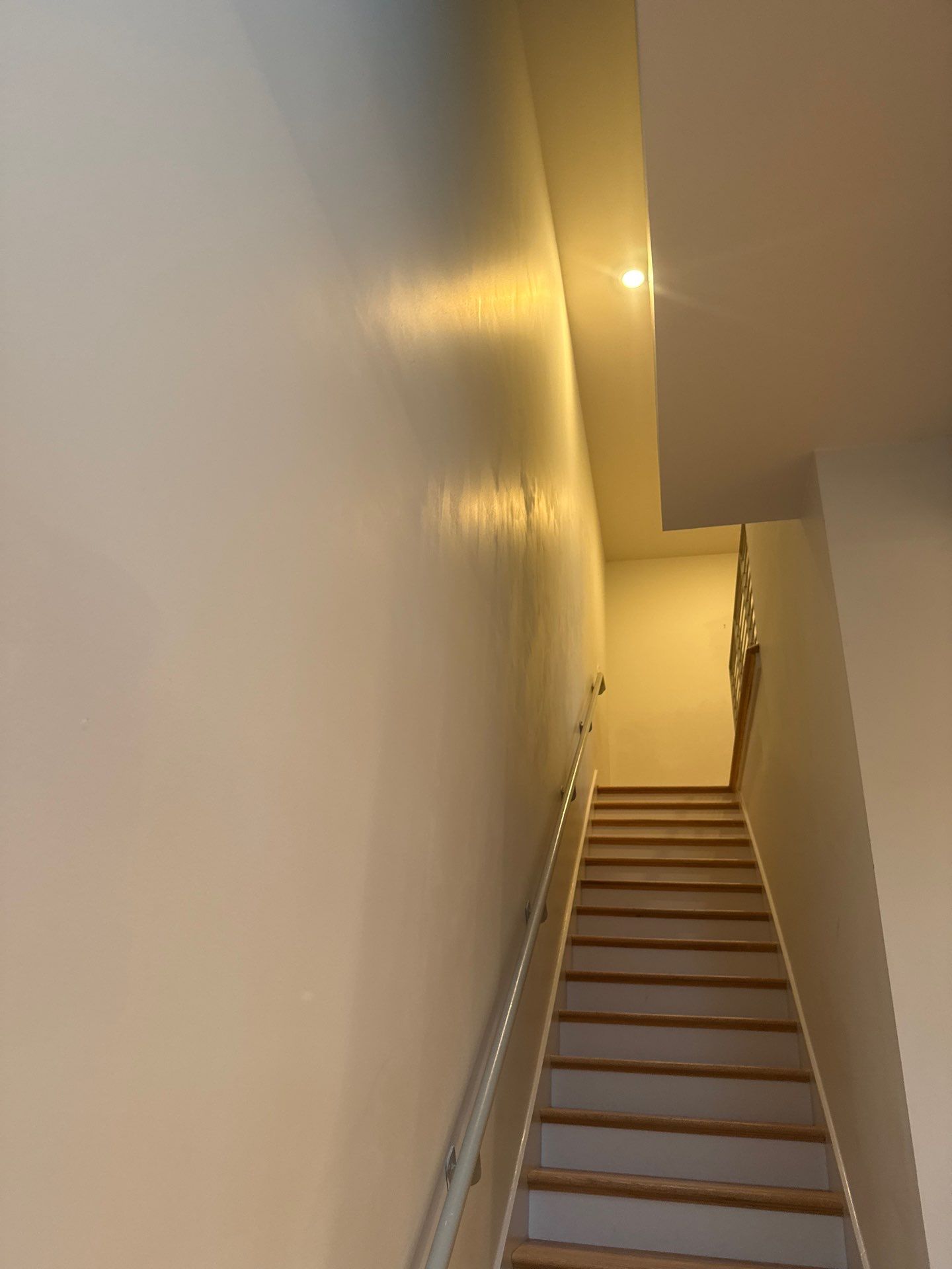 Patrick  bright colors by Magic Painting