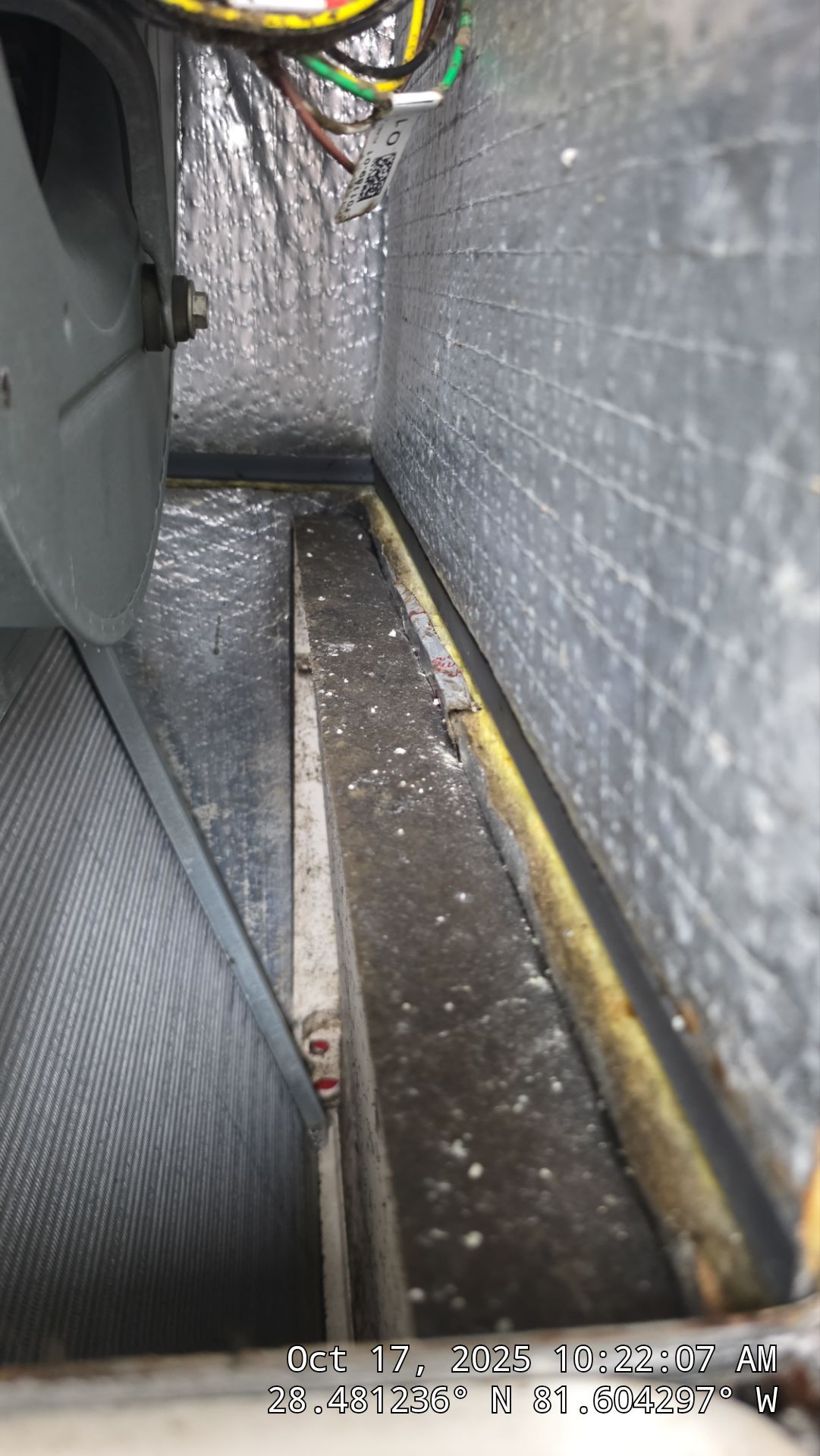 AIr Duct and Dryer Vent Cleaning in WInter Garden by Hygienic Air, Inc