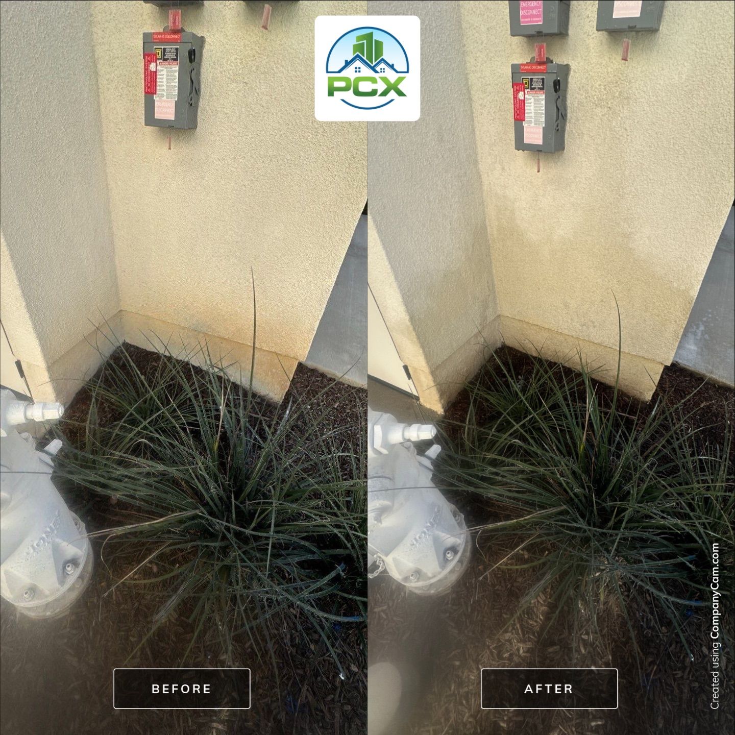 Costa Mesa House Washing - soft wash and chemical removal by Property Cleaning Experts