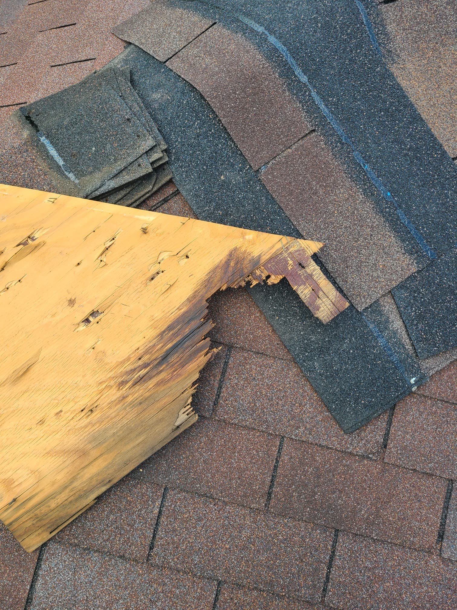 Residential Roofing Repair using Owen's Corning Duration (Lifetime) Shingles by Roof Repair Company