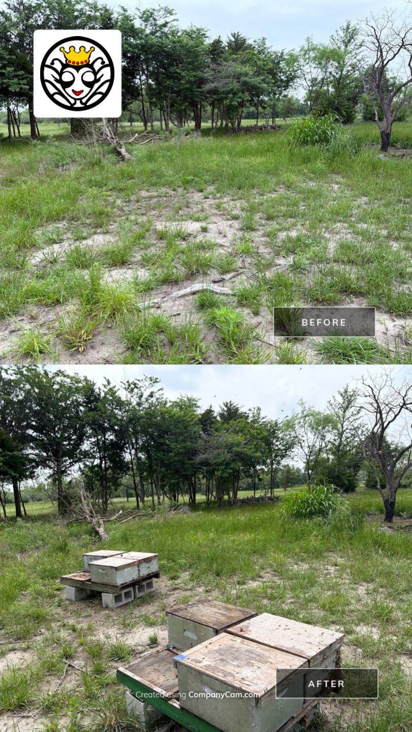 Exemption in Royse City, TX by Rockwall Honey Bee Company